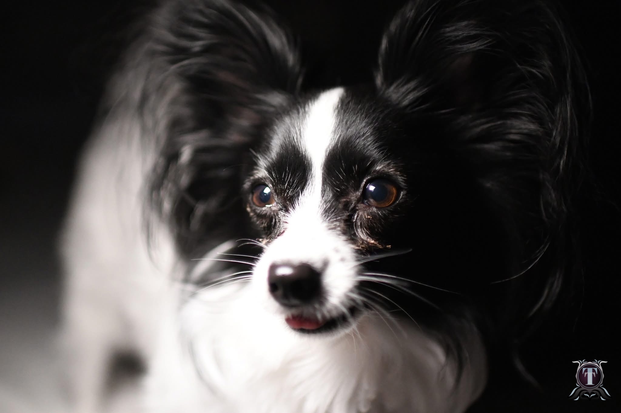 tLEGACY IMAGES's image