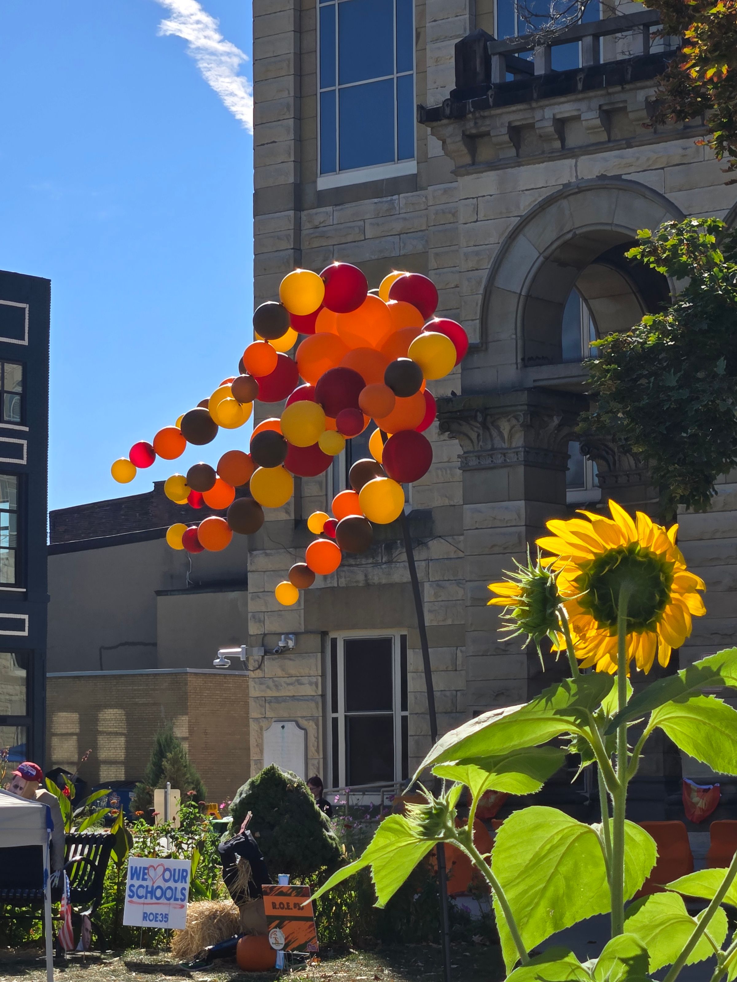 Airborne Art-Custom Balloon Art For Any Occasion!'s image