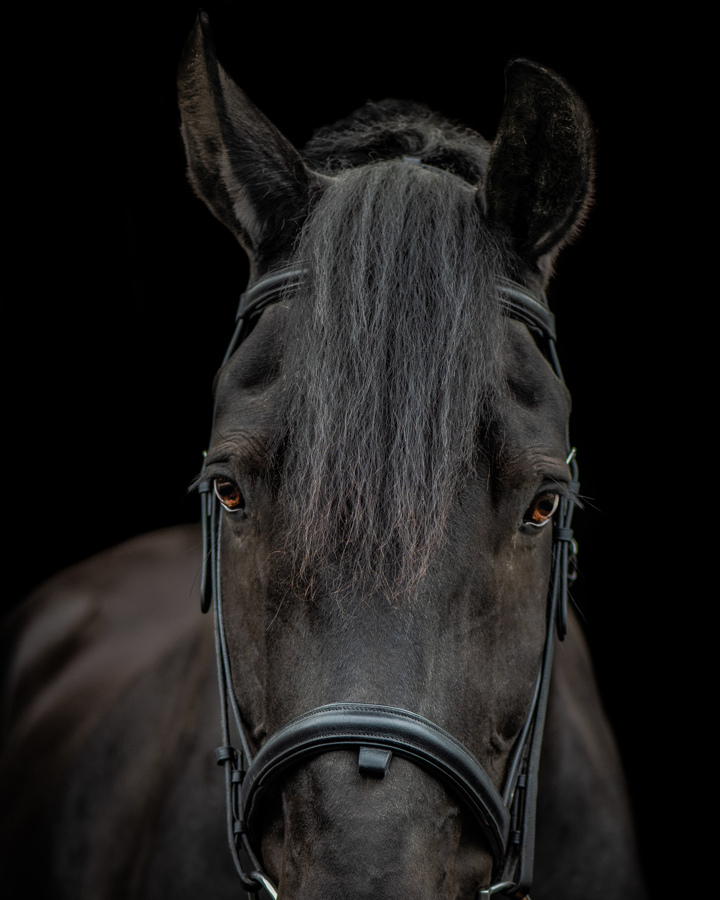 Mountain Ridge Equestrian Center