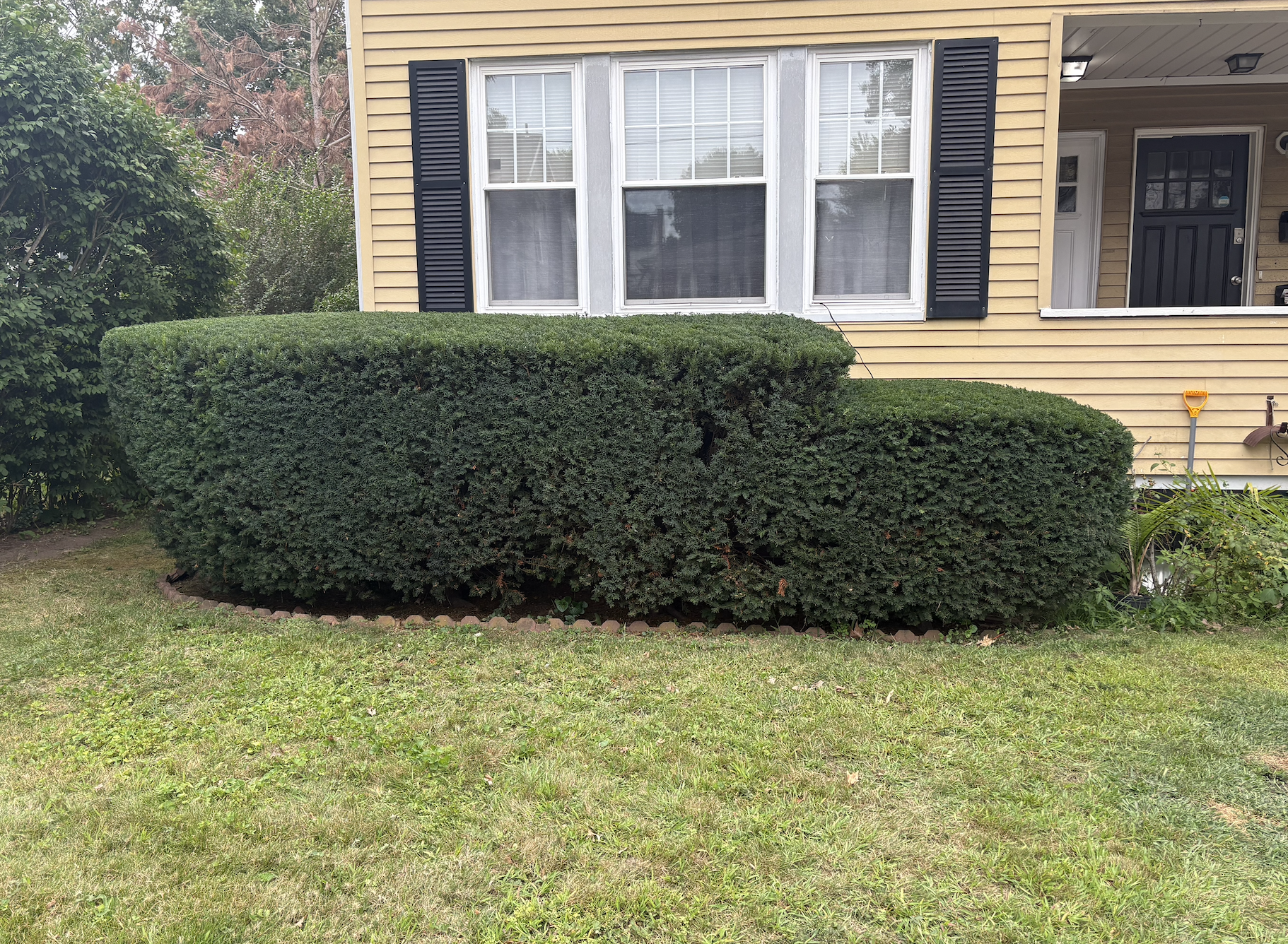 claysmowingcompany.com's image
