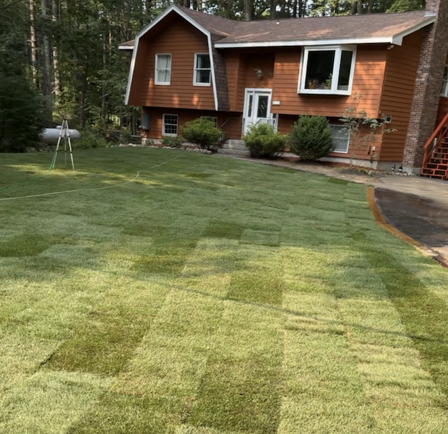 sod installation