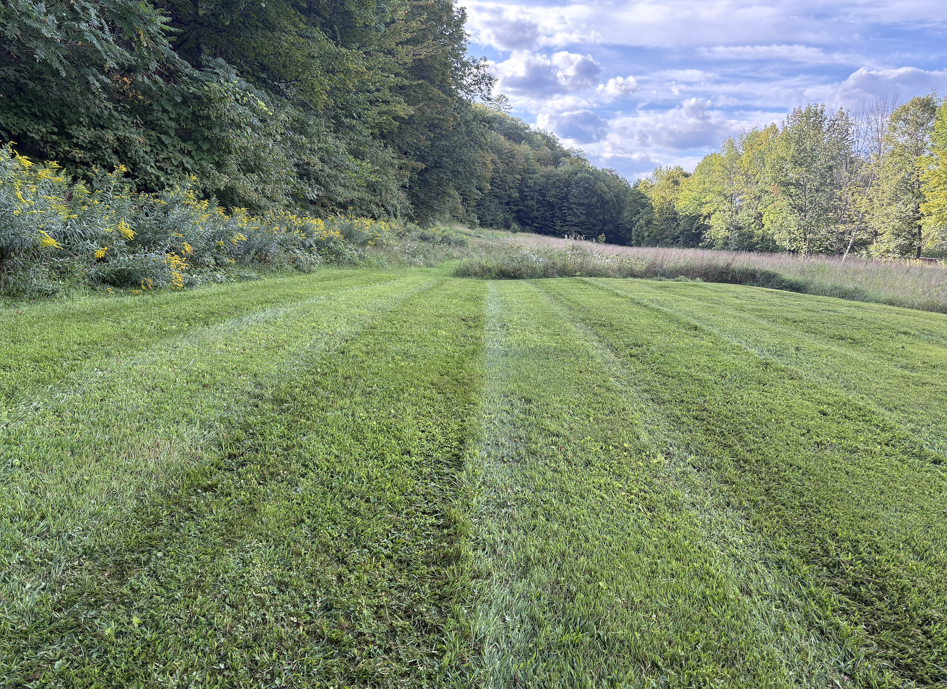 claysmowingcompany.com's image