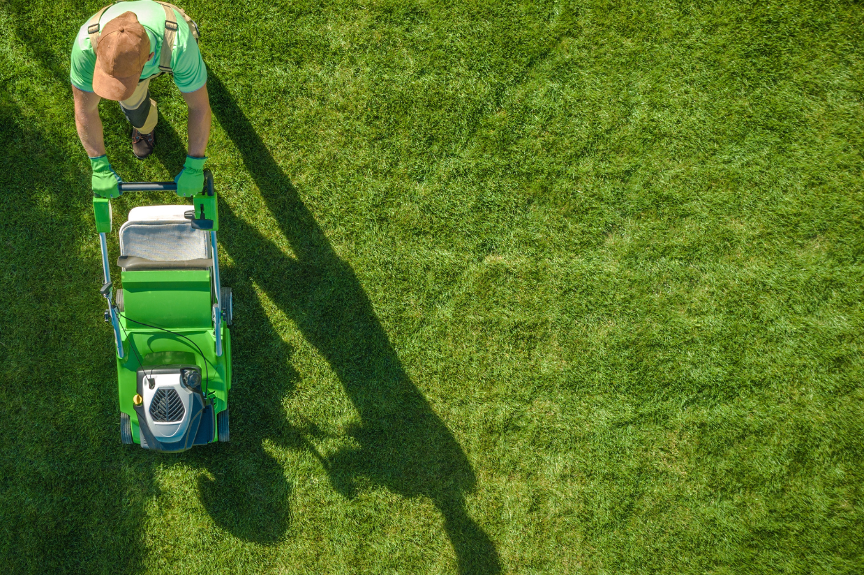 DKG Landscaping's image