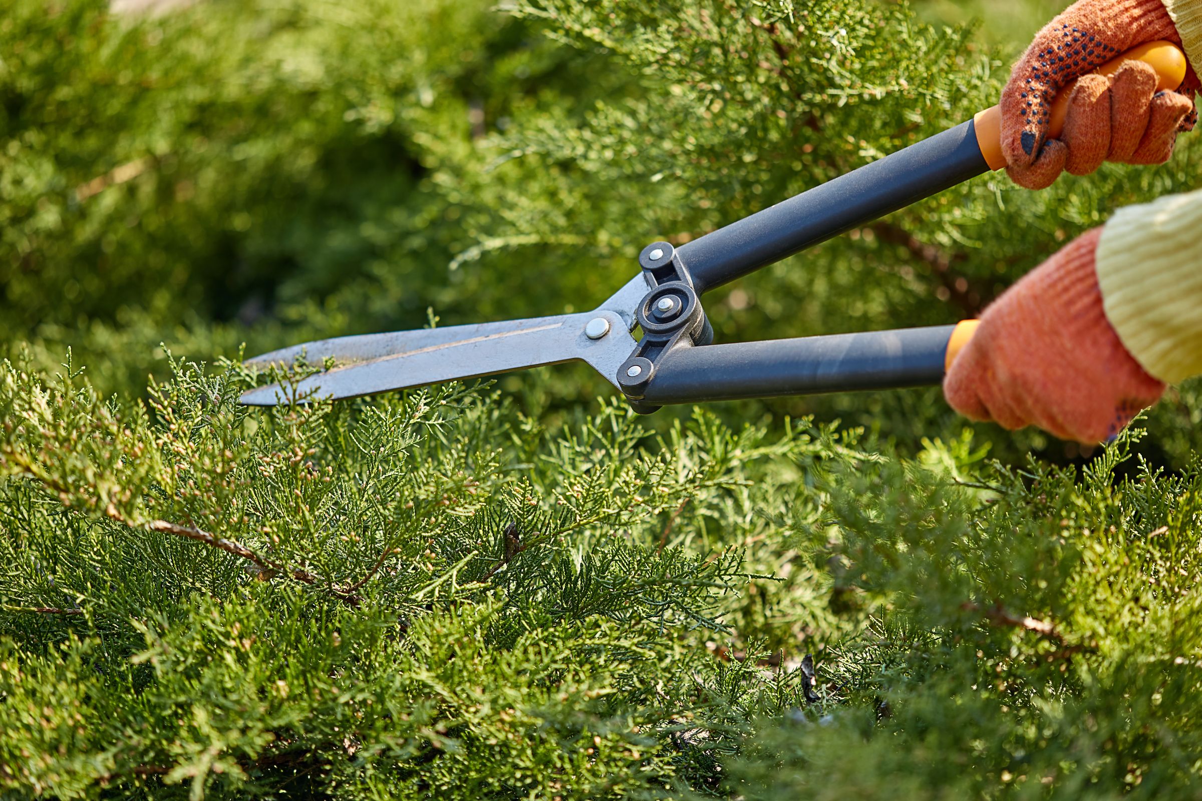 DKG Landscaping's image