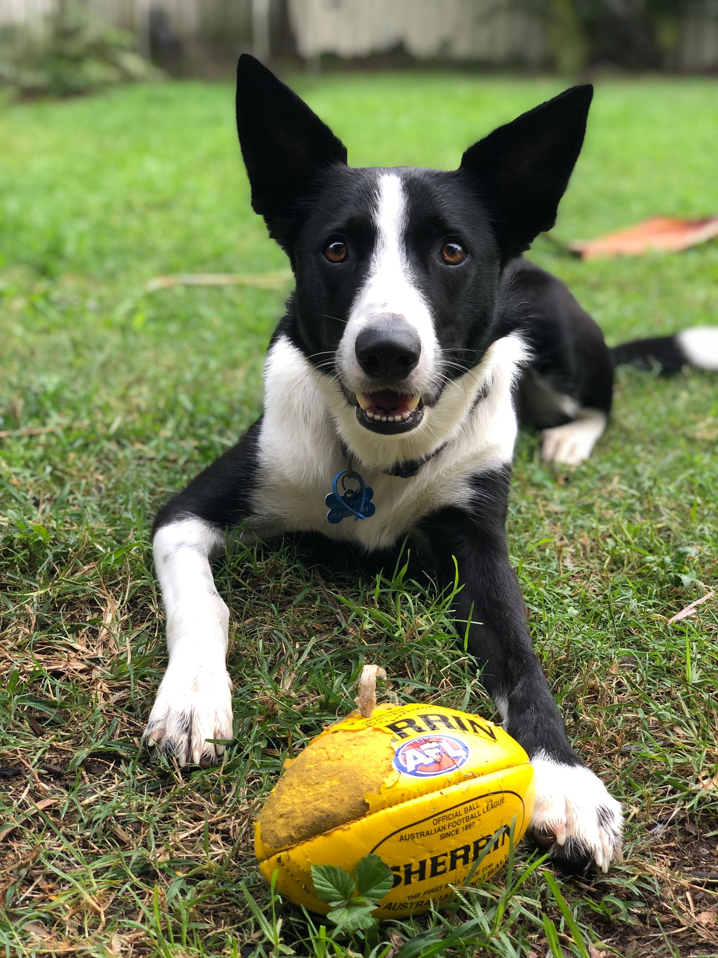 West Tamar Psychology's image