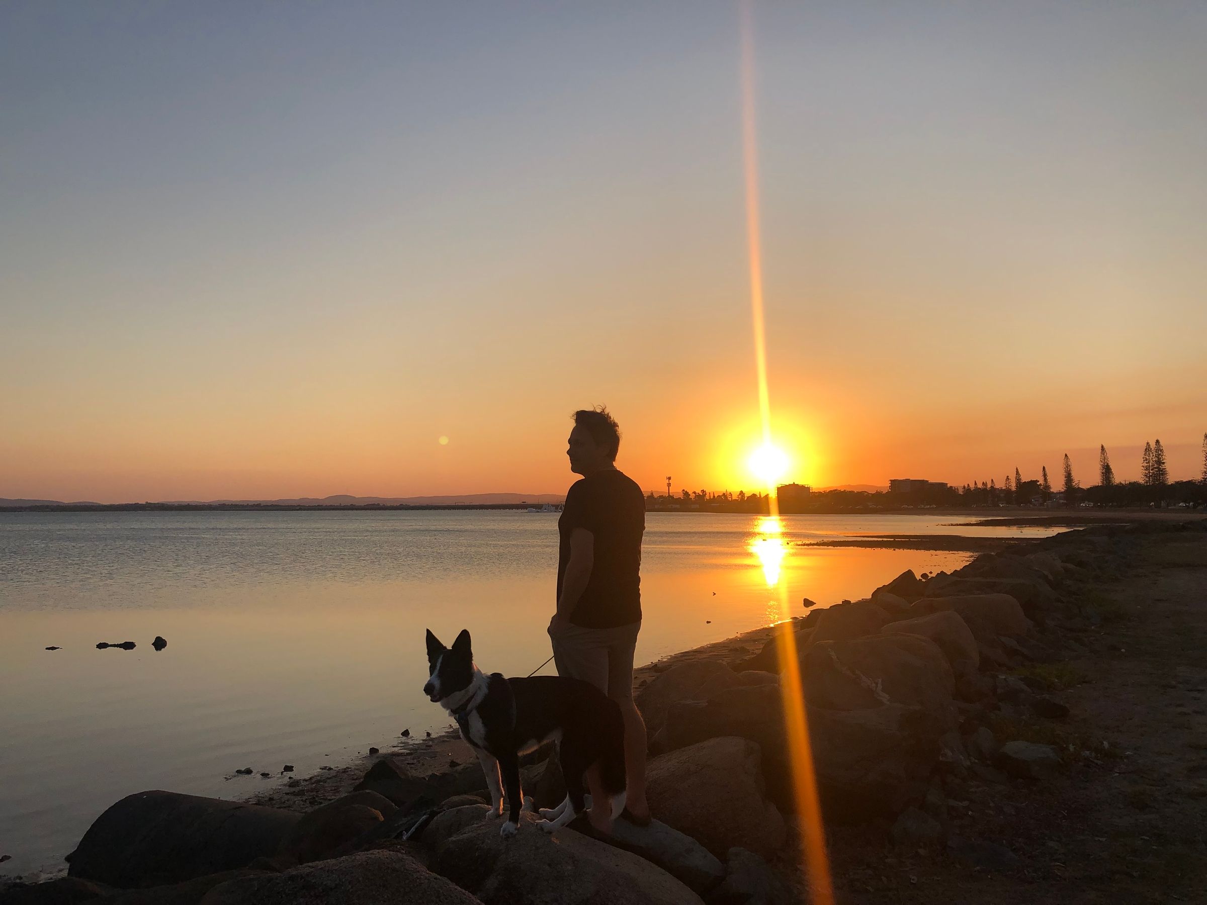 West Tamar Psychology's image