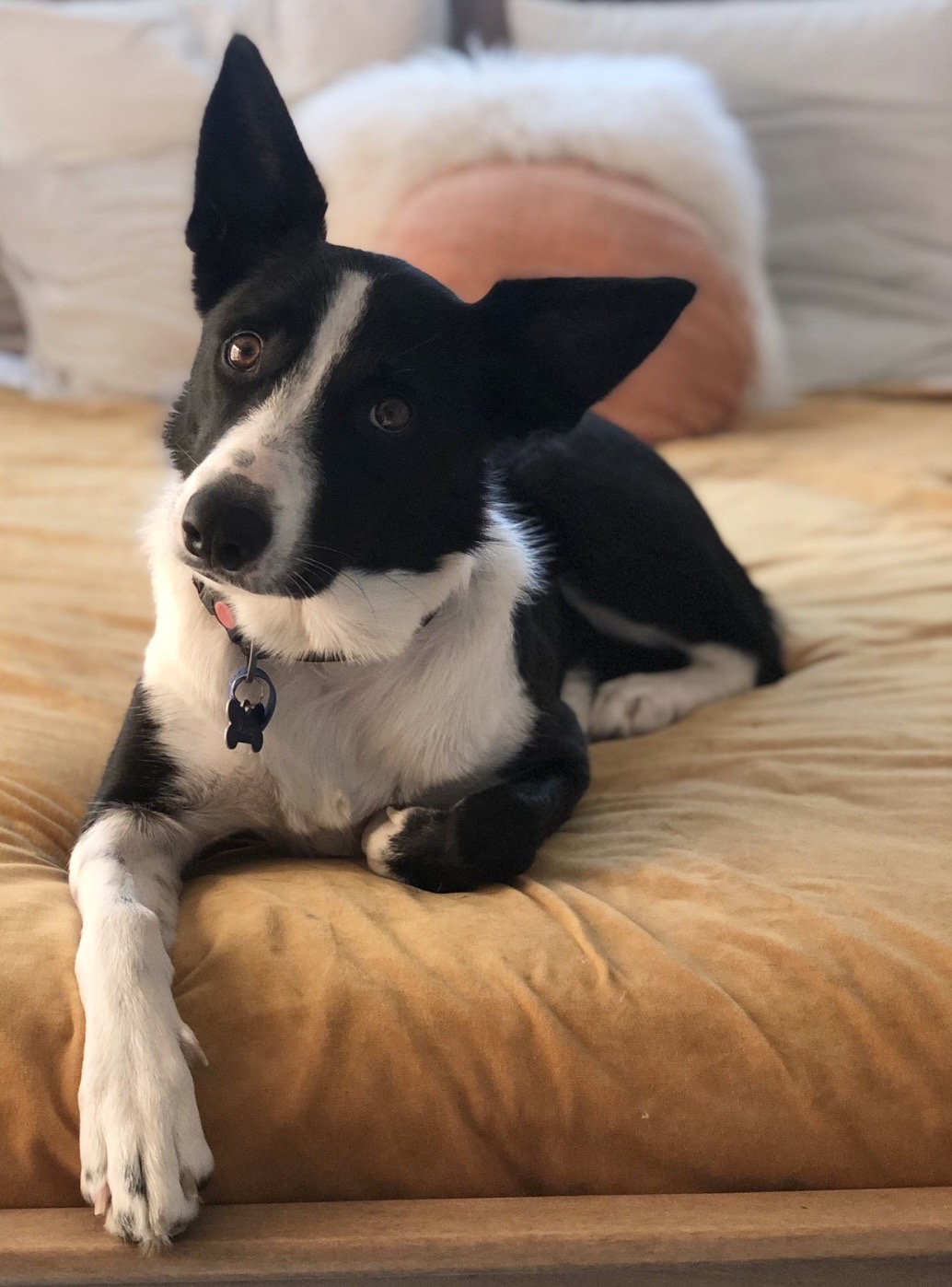 West Tamar Psychology's image