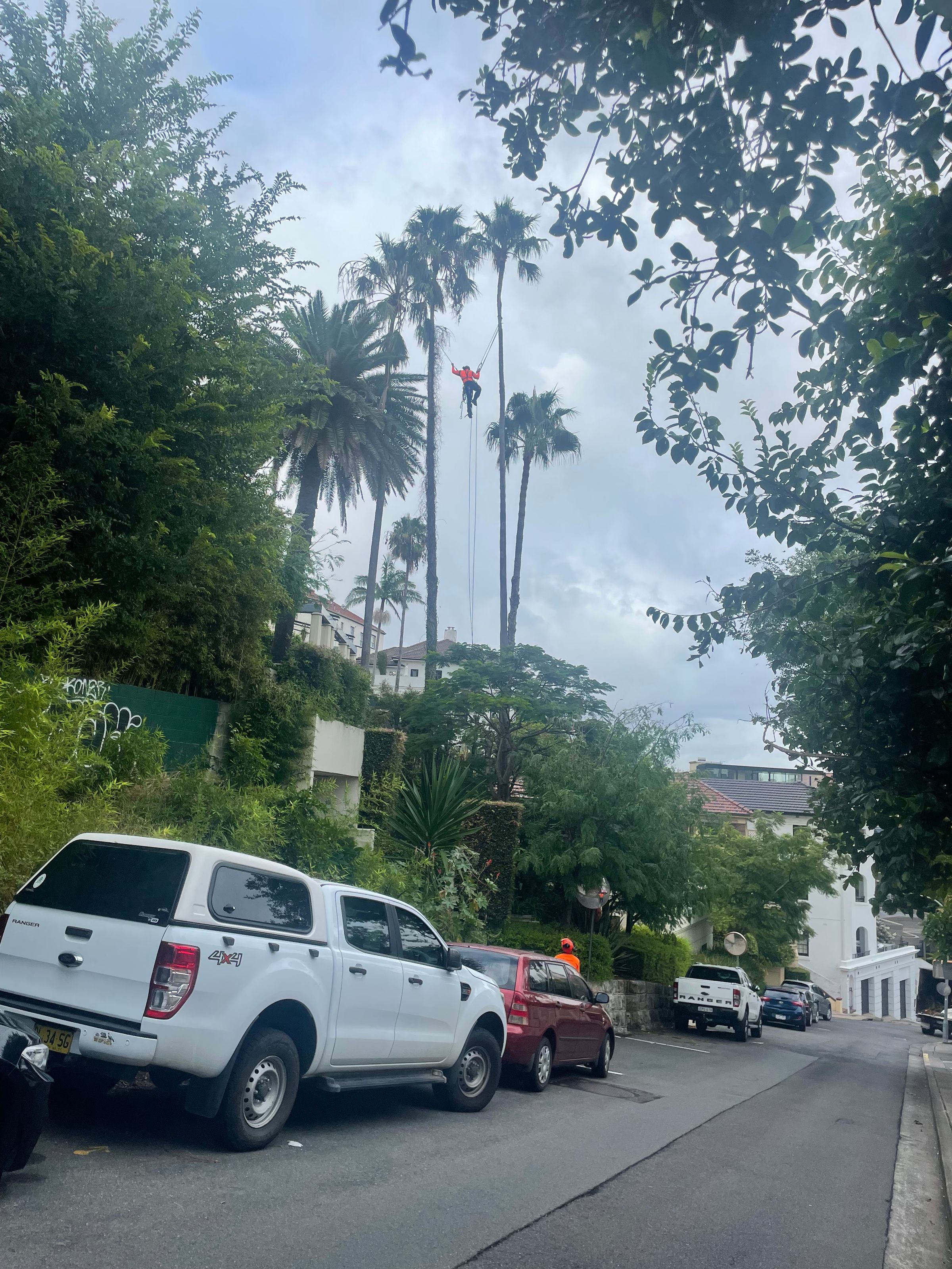 home's image