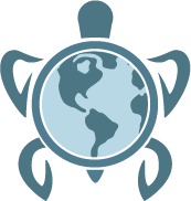 TFG Technology Solutions's image