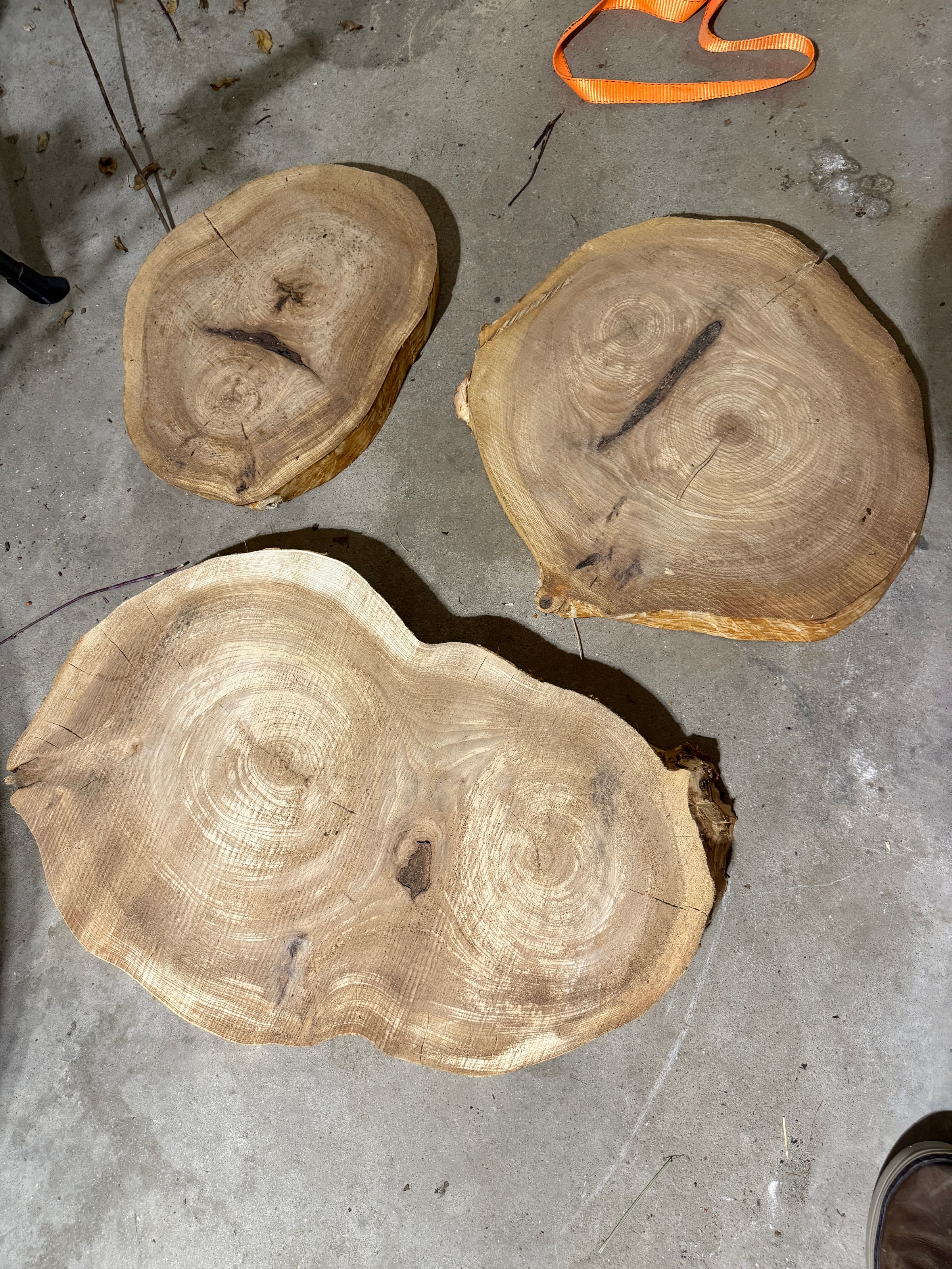 Prairie planks's image