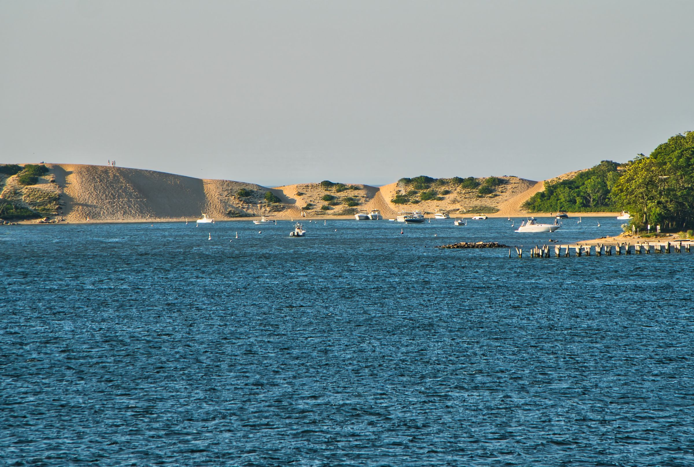 The Cove