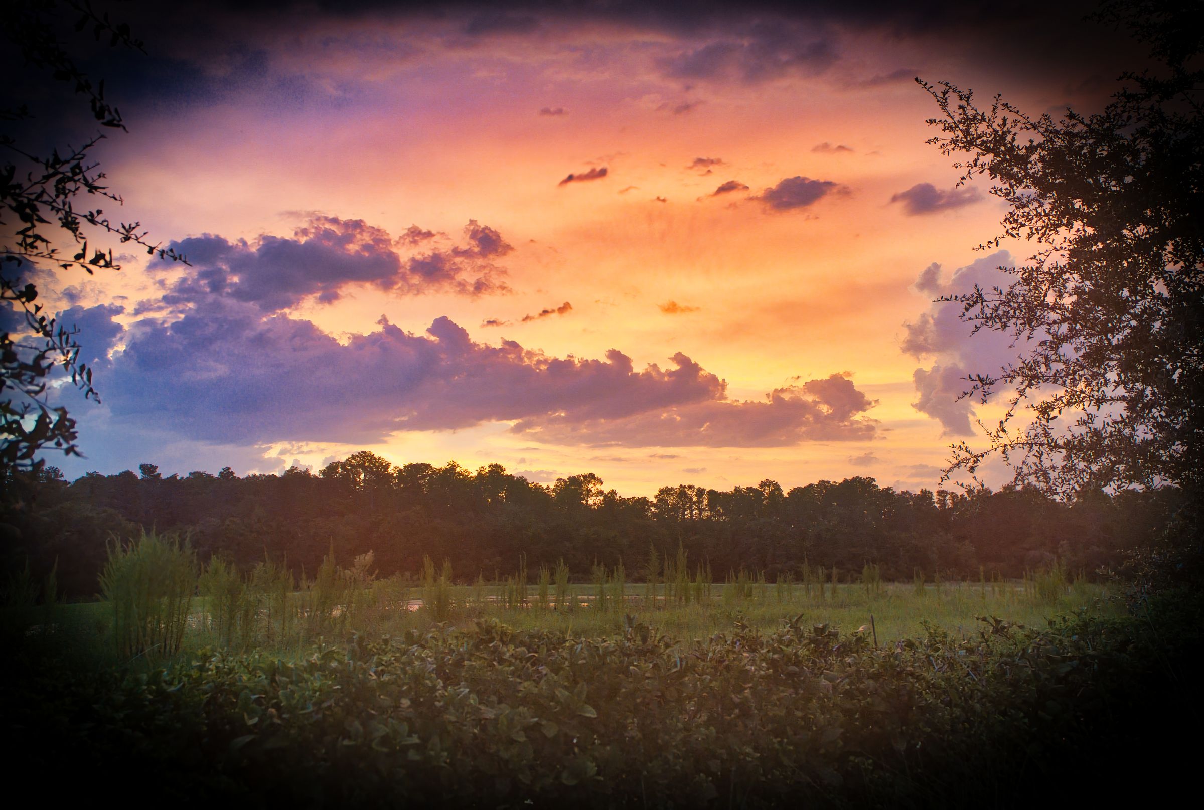 Sundown cropped