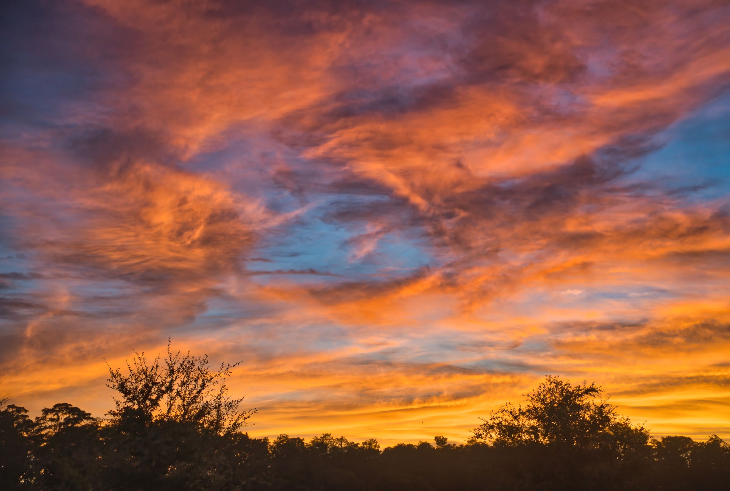 Scary Red Sky