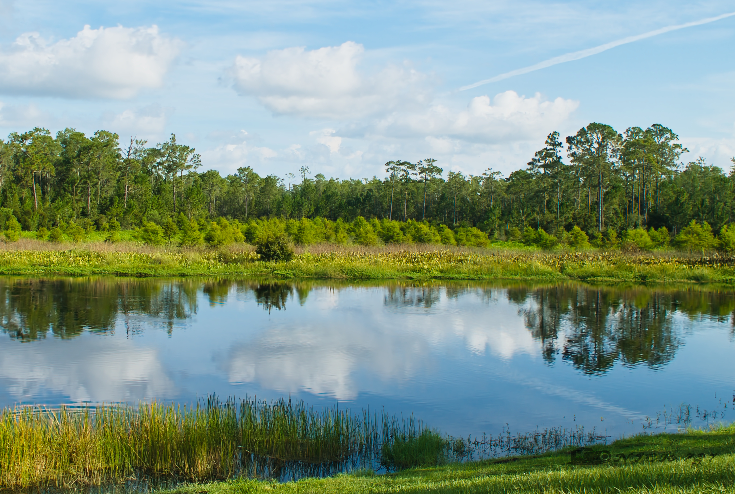 Perfect Reflections