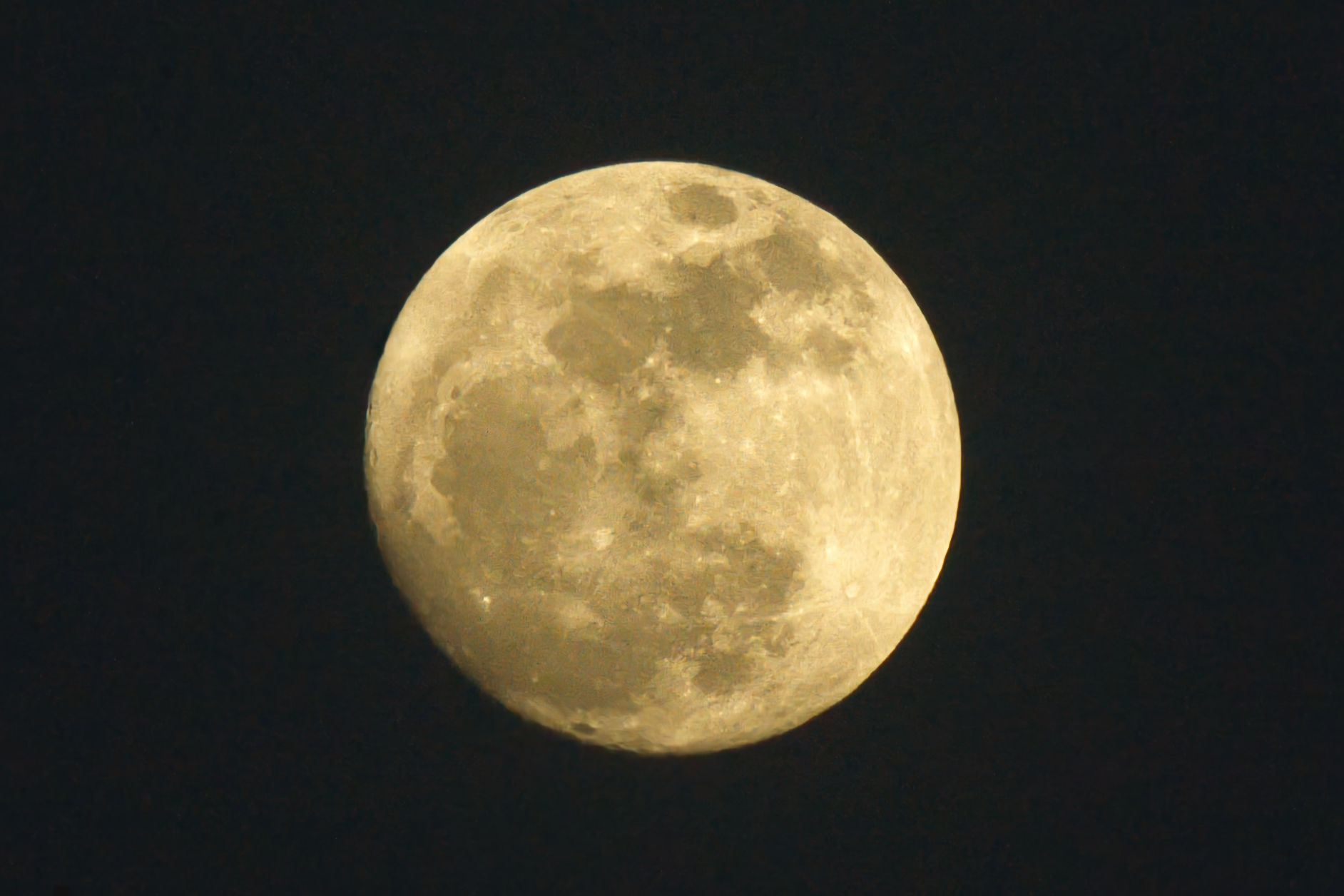 Tan Moon
