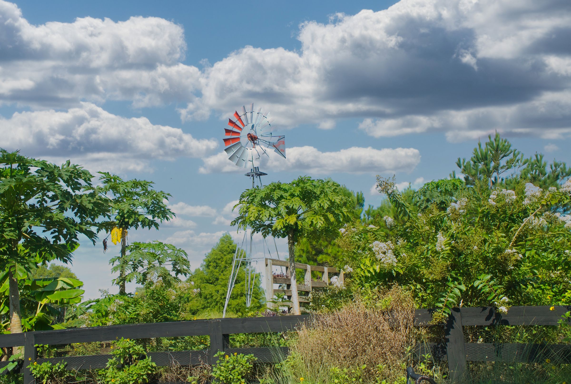 Windmill in Garden