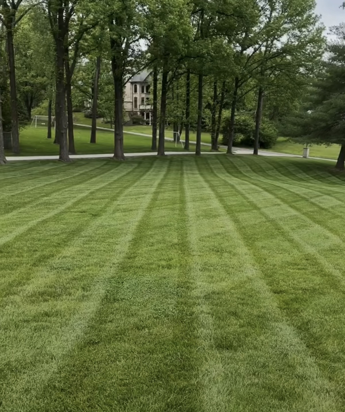 Evergreen Landscaping's image