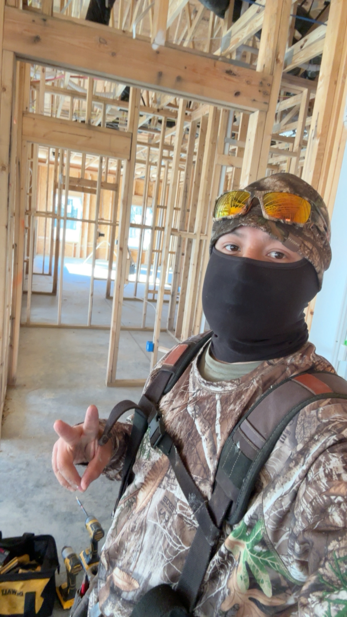 Sierra framing's image