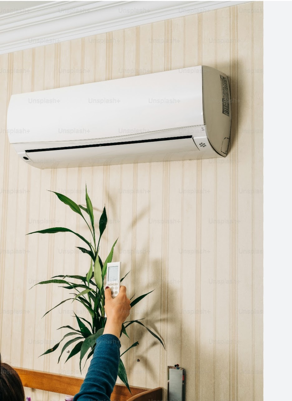 BOYD BROTHERS 's image