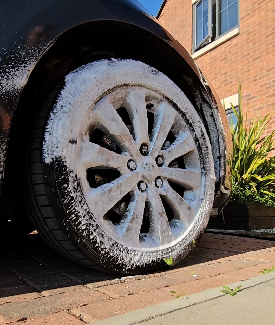 Vehicle Detailer's image