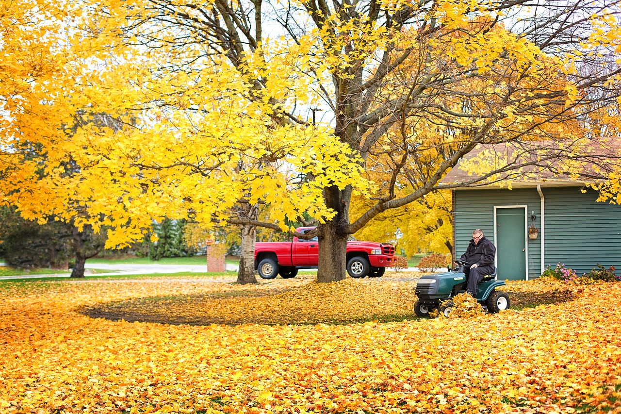 Leaf Disposal Services