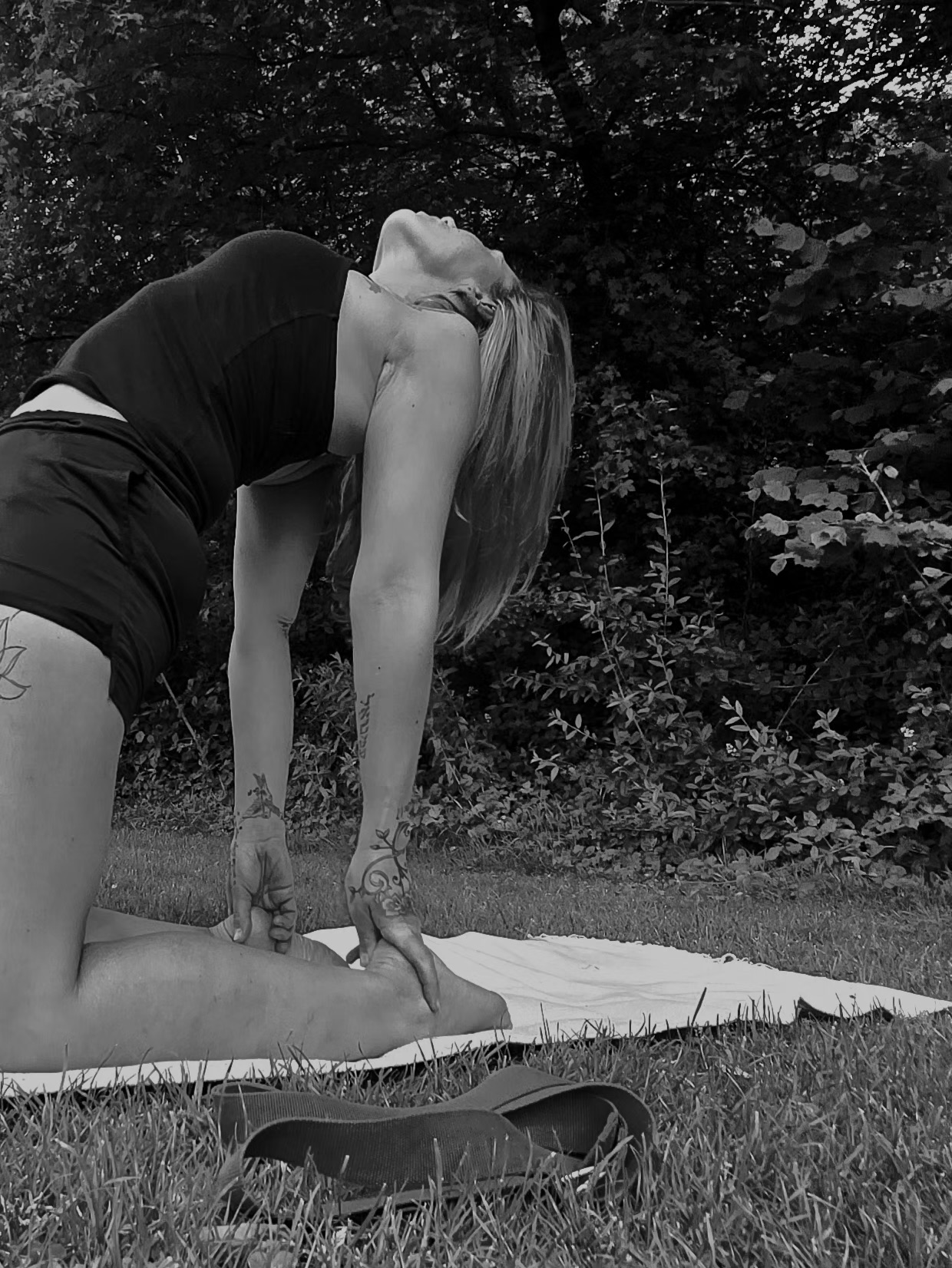 wildflower yoga's image