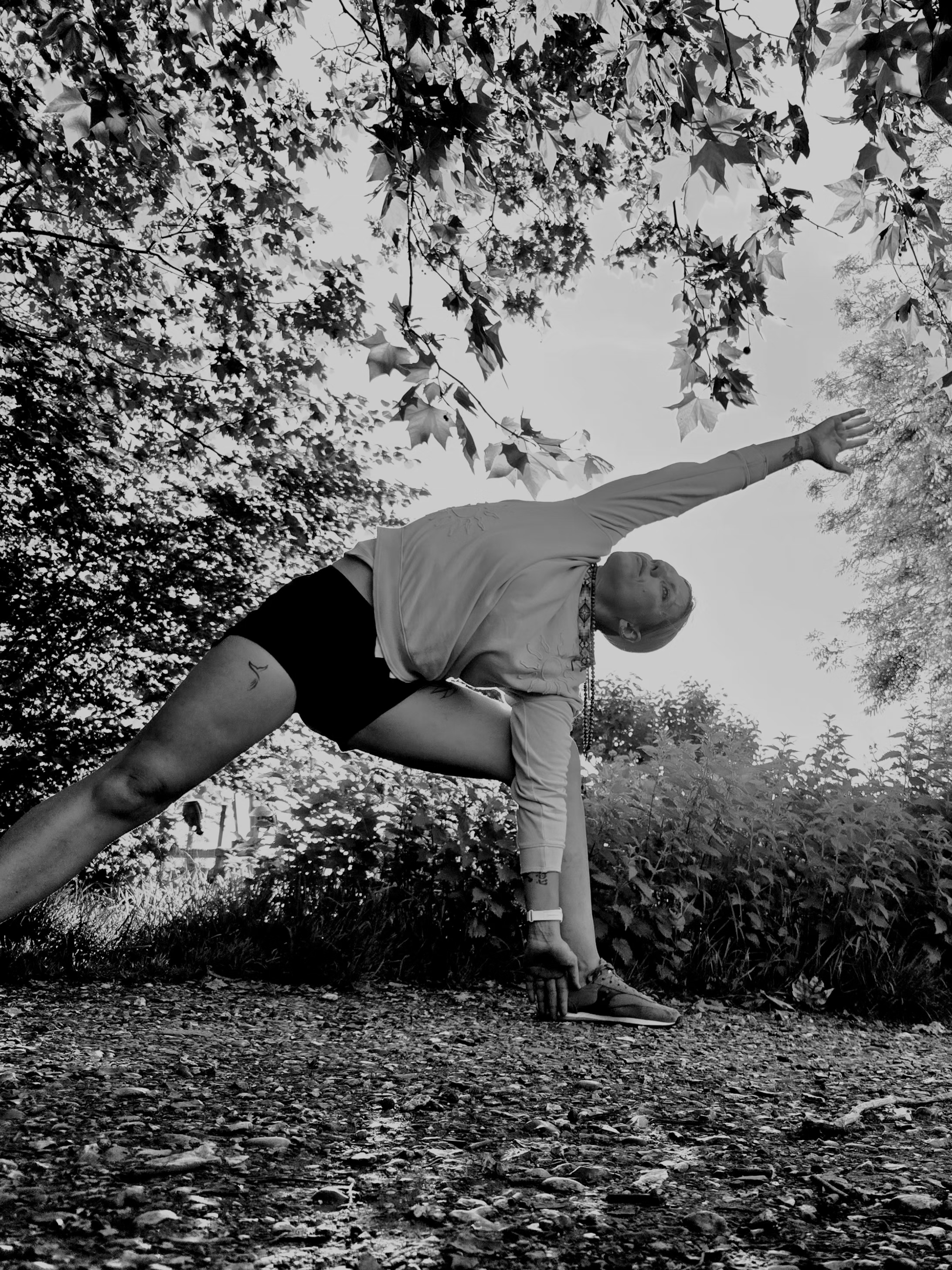 wildflower yoga's image