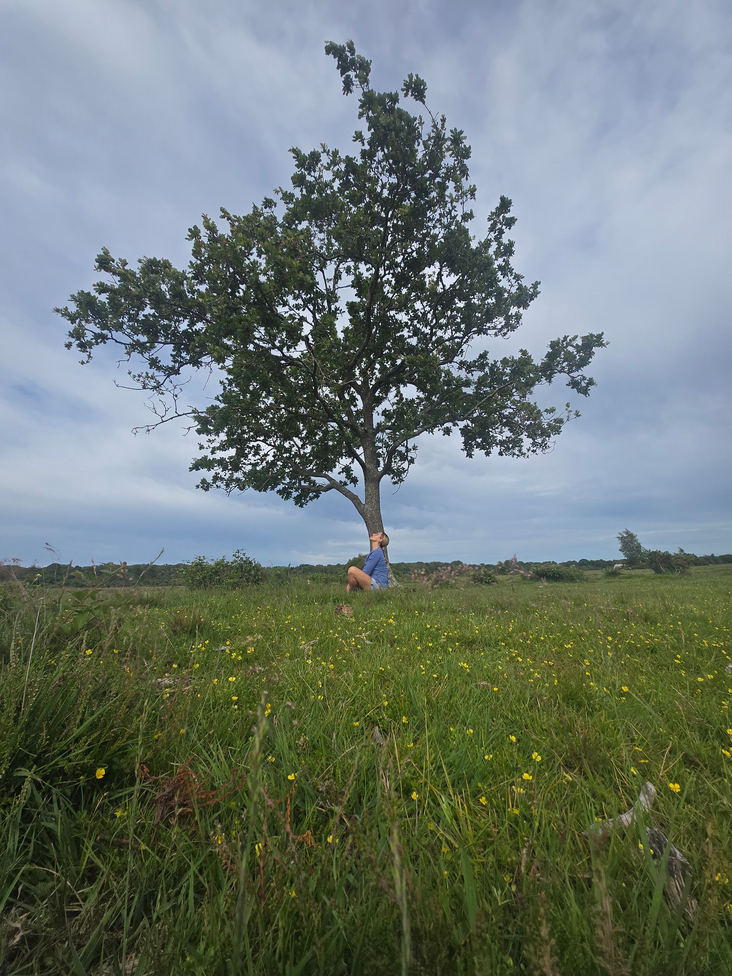 wildflower yoga's image
