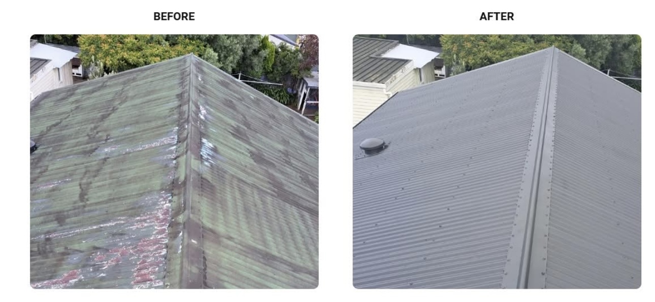 Coastal Asset Revival's image