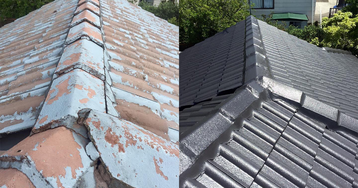 Coastal Asset Revival's image