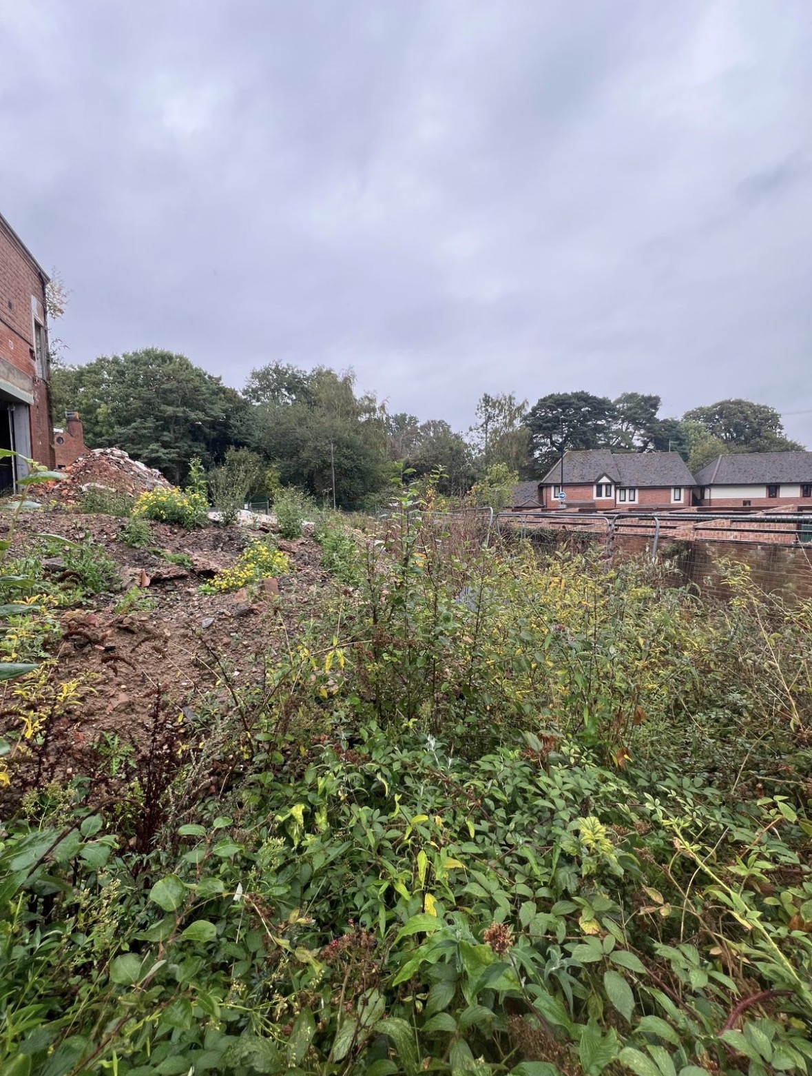 Foundex Construction's image