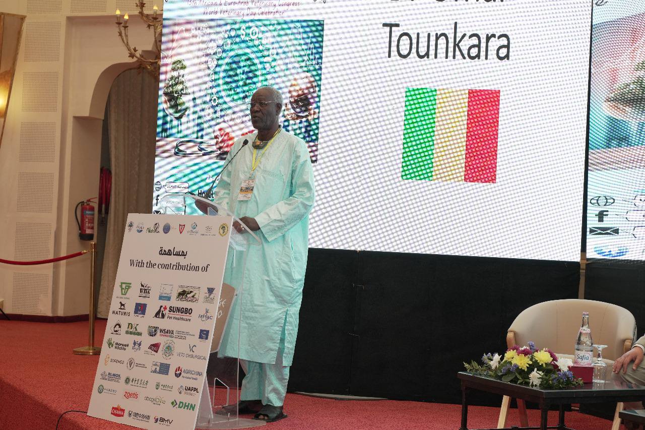 Union africaine des professions libérales's image