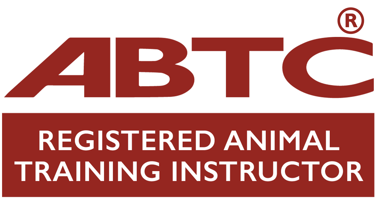 Positive Dog Training in Lancashire and Greater Manchester's image