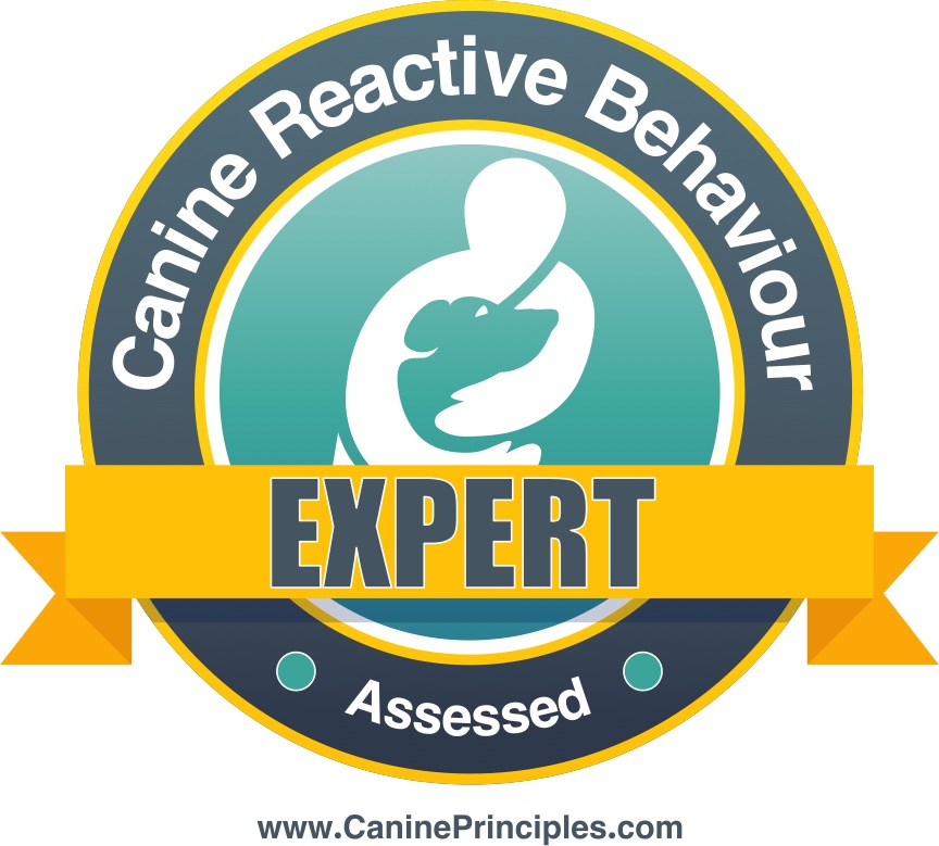 Positive Dog Training in Lancashire and Greater Manchester's image