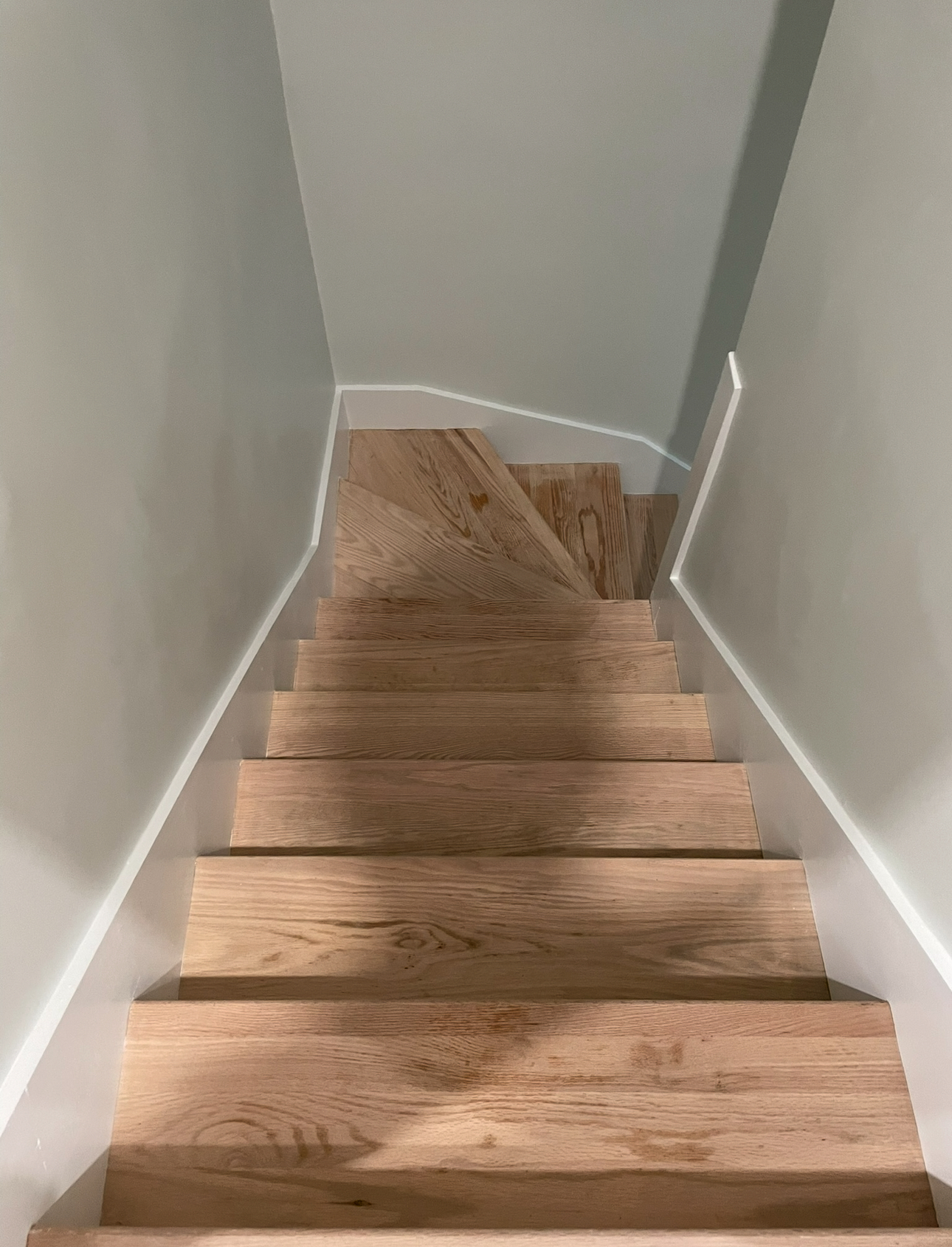 Star home development's image