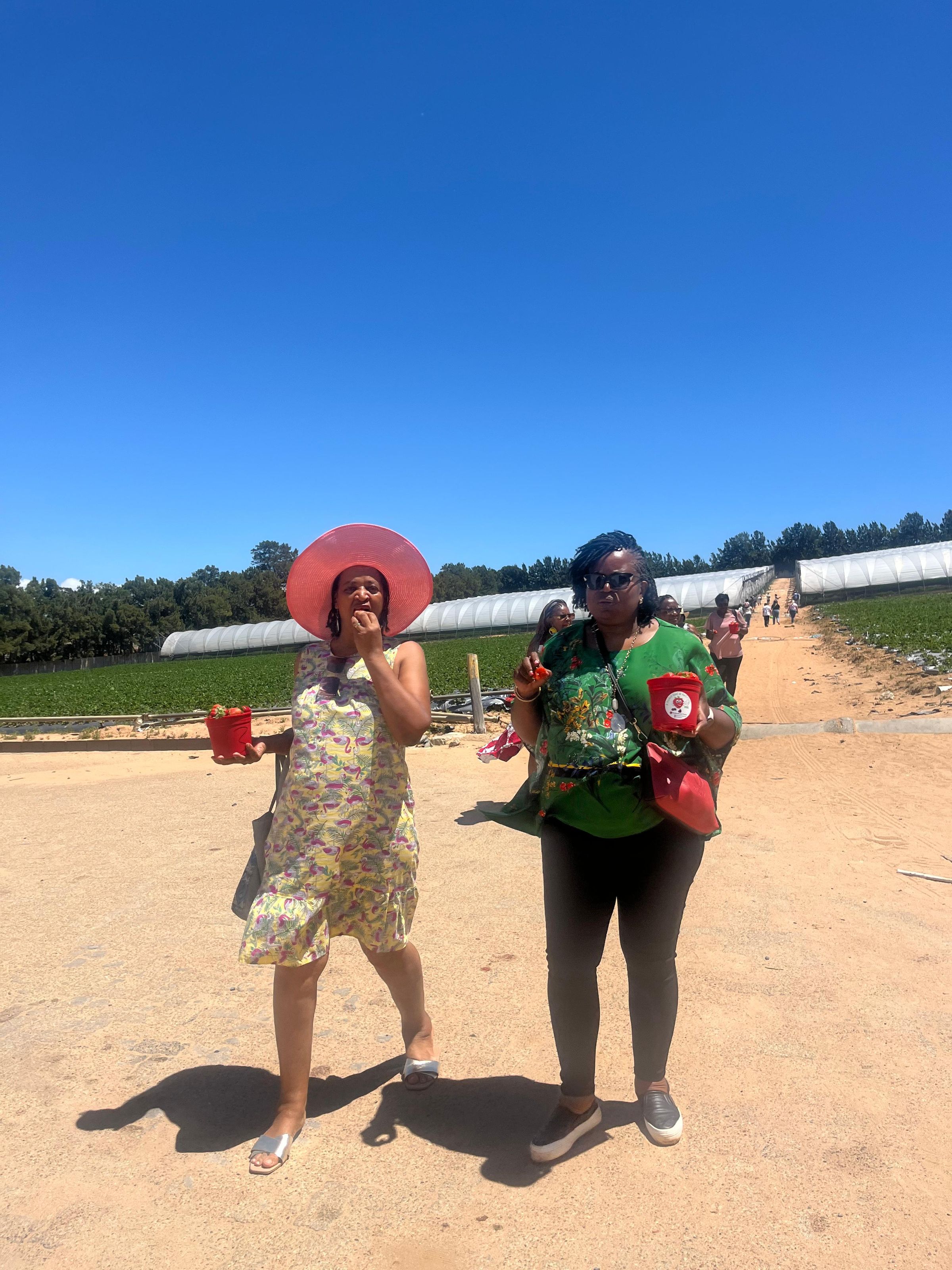 Joyous Retreats & Events Company's image