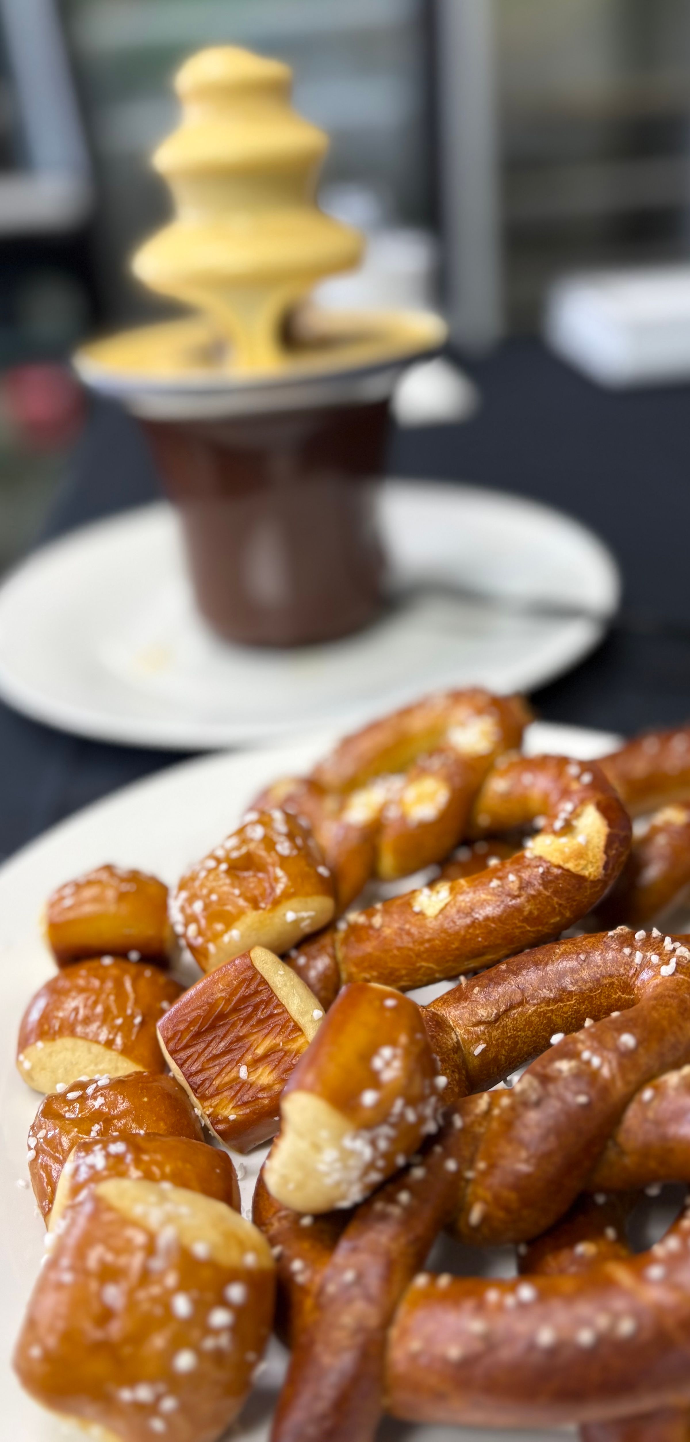 Soft Pretzels with Cheese Fountain