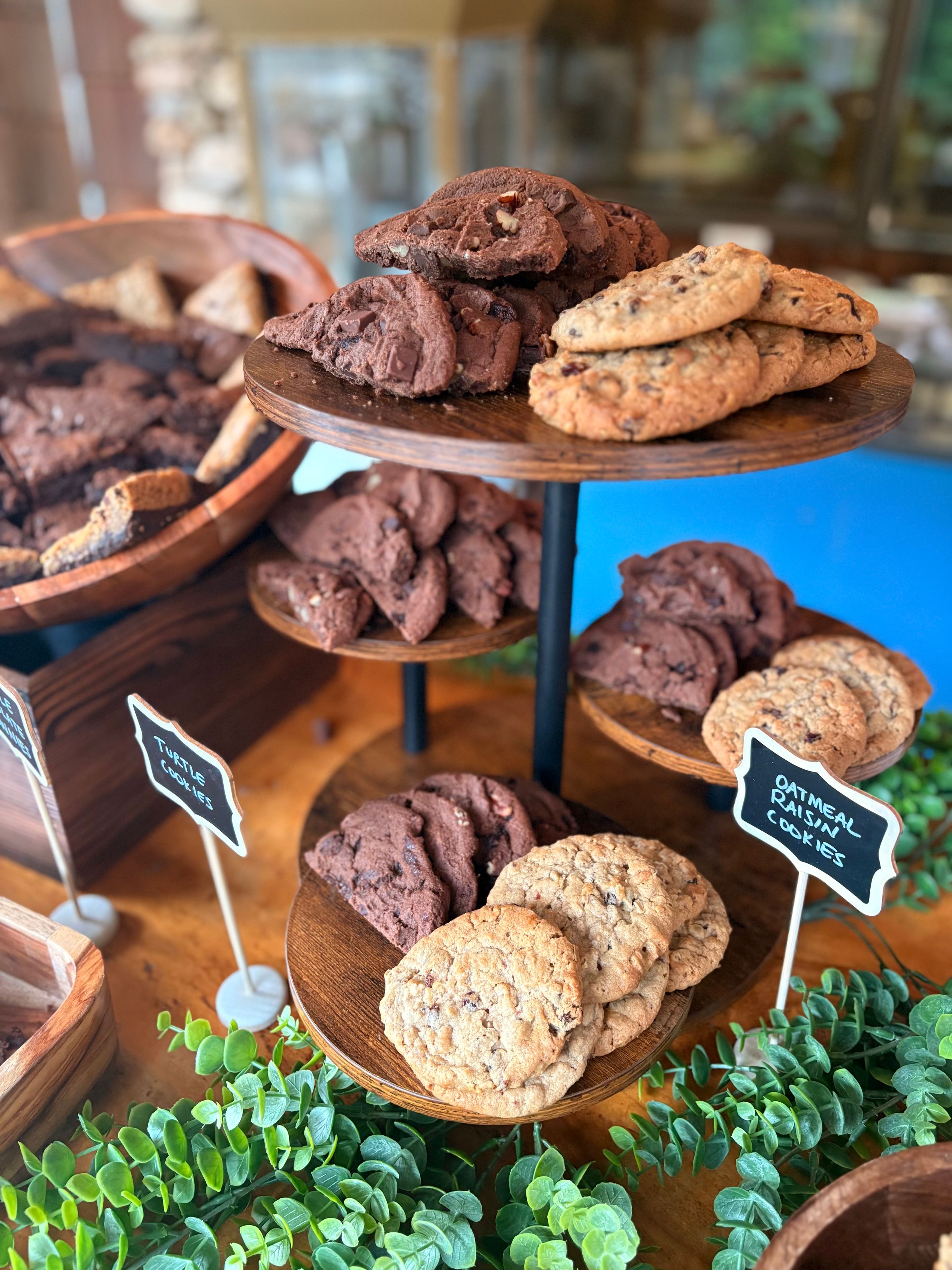 Turtle Chocolate and Oatmeal Raisin
