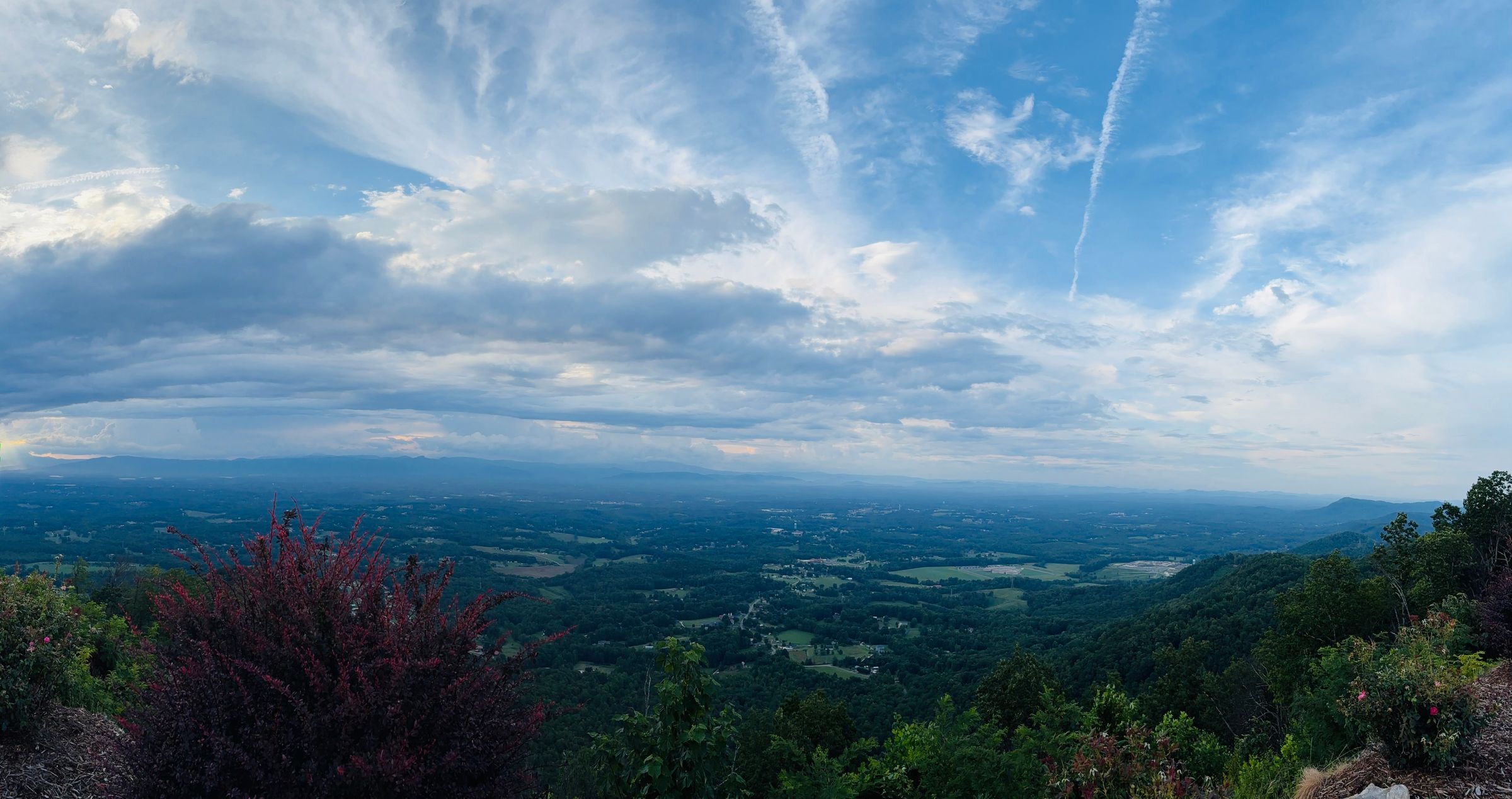 MORGANTON FOOD COMPANY's image