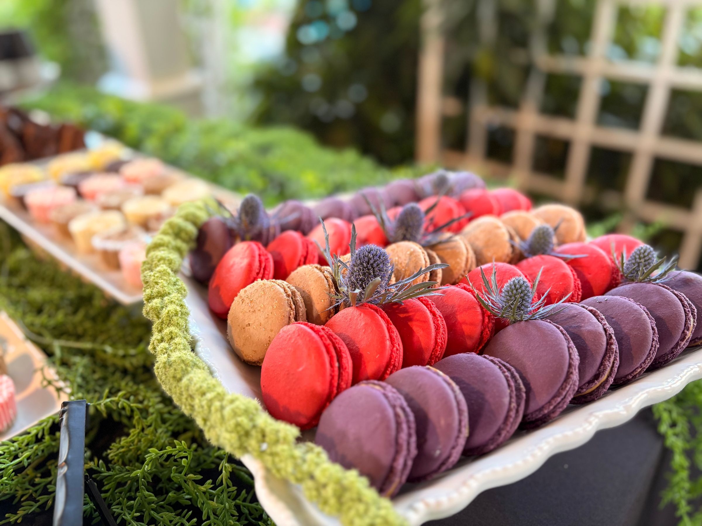 MORGANTON FOOD COMPANY's image