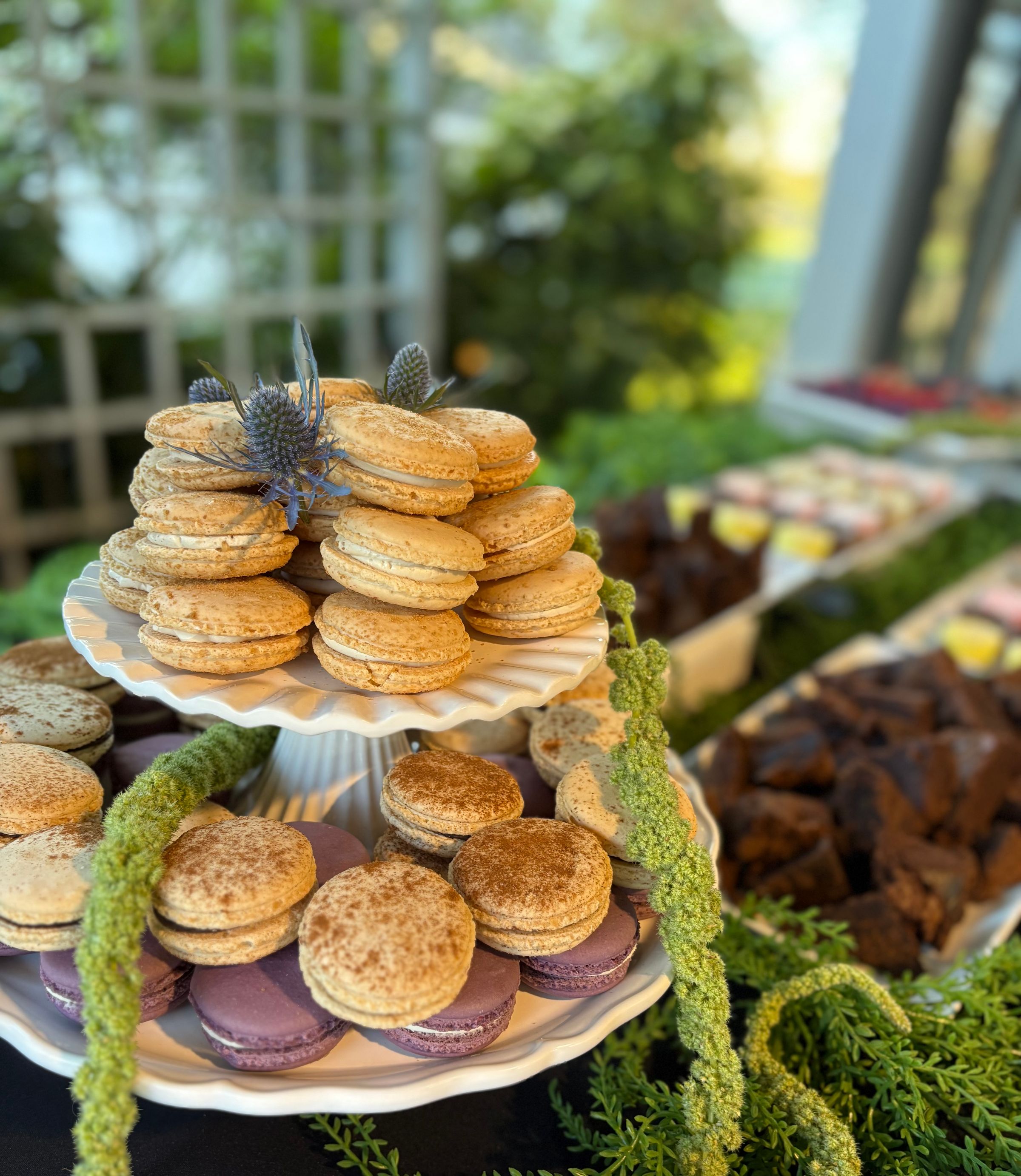 MORGANTON FOOD COMPANY's image