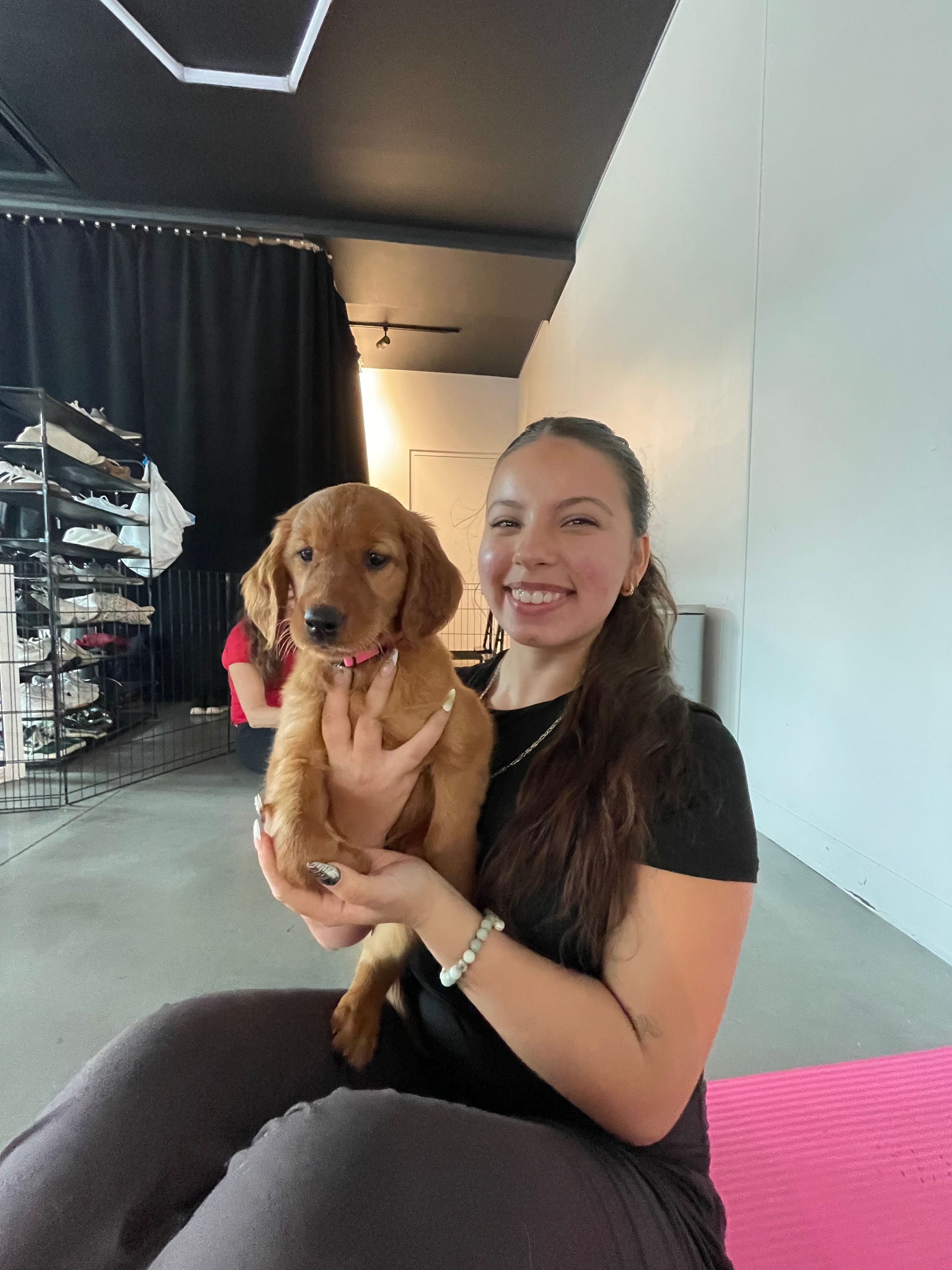 Leave It to Lilly | Pet Sitting, Dog Walking & House Sitting's image