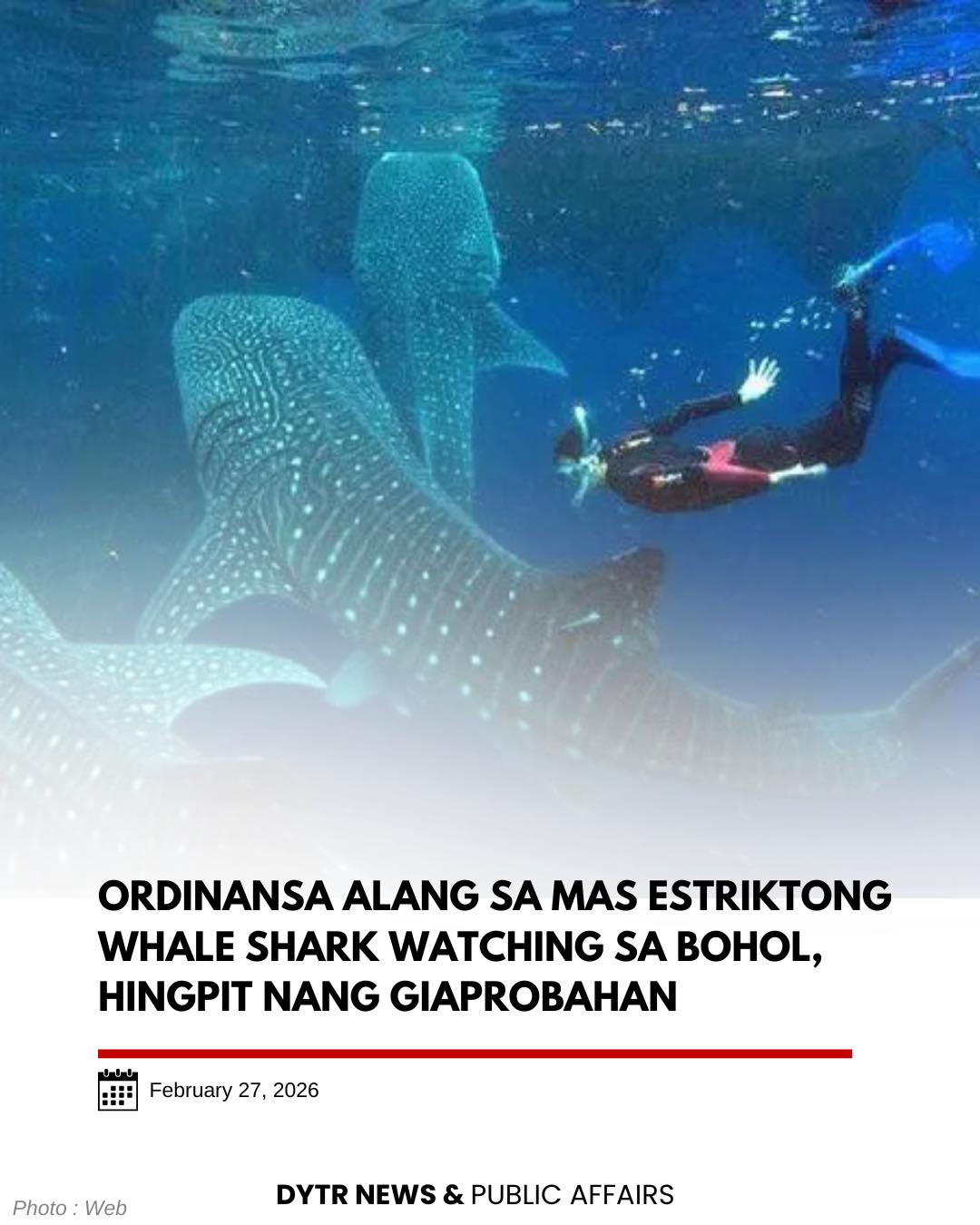 DYTR Bohol Radio's image