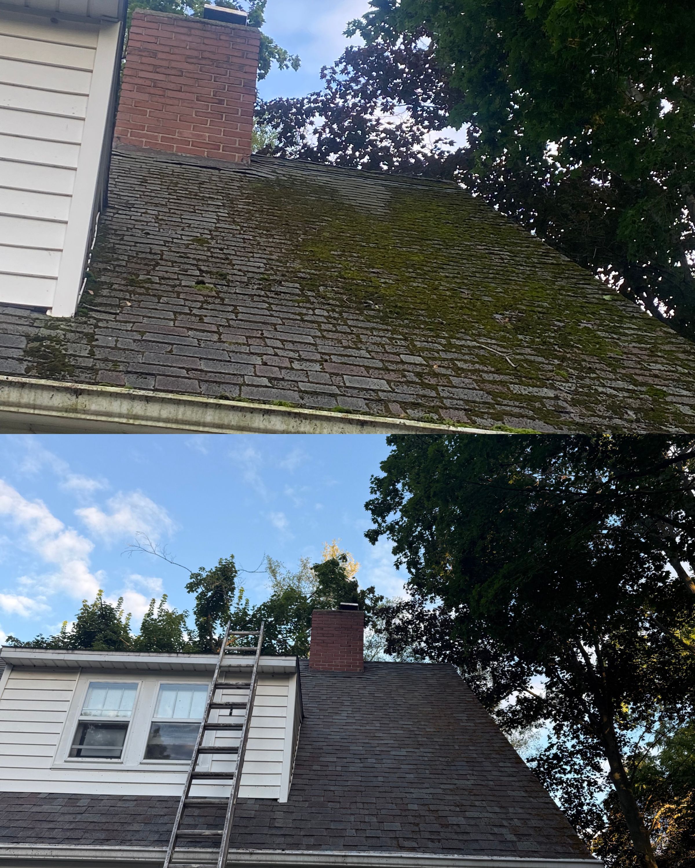 Residential and commercial power washing service's image