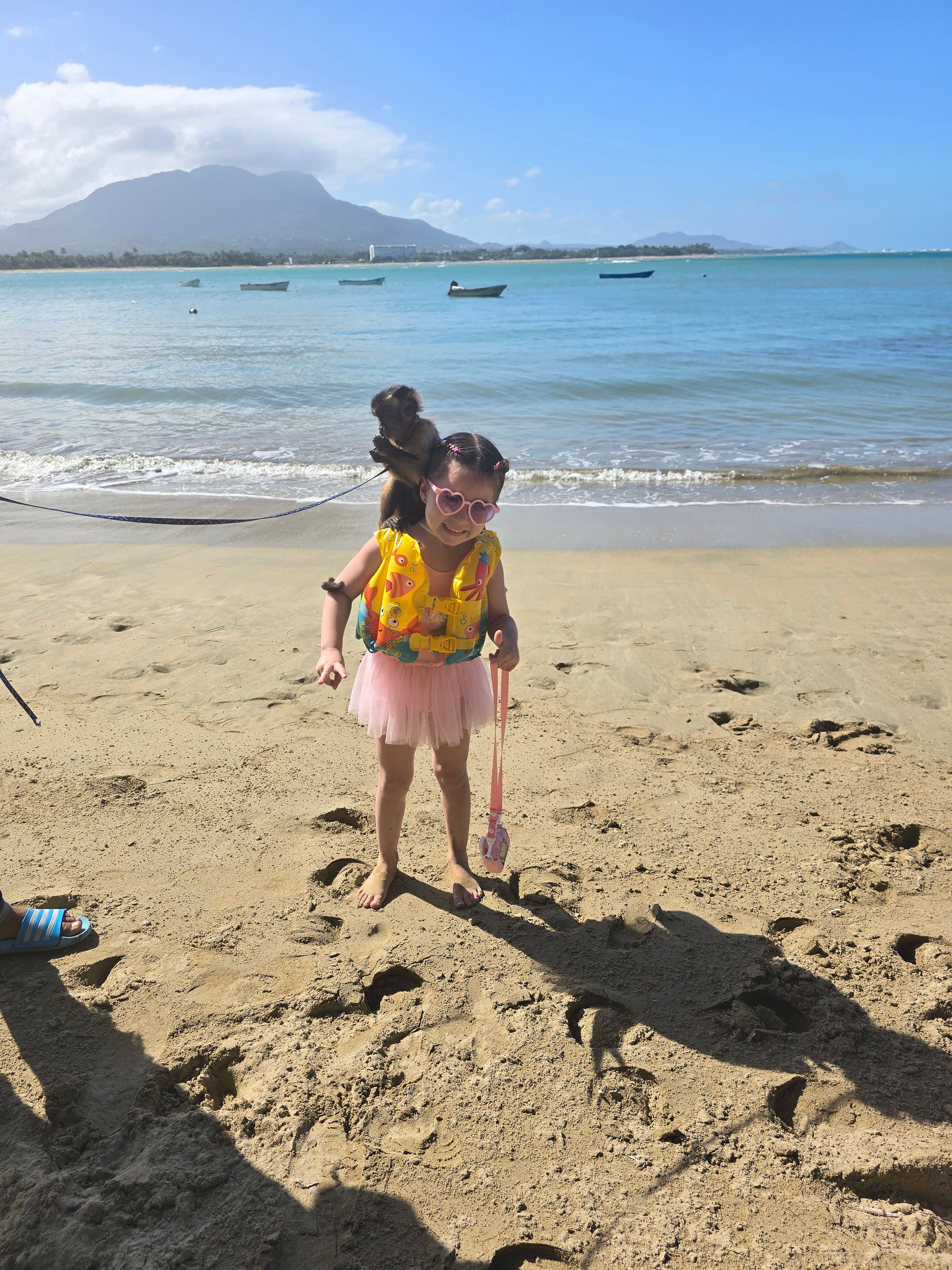 LA & DV Experts in Travel's image