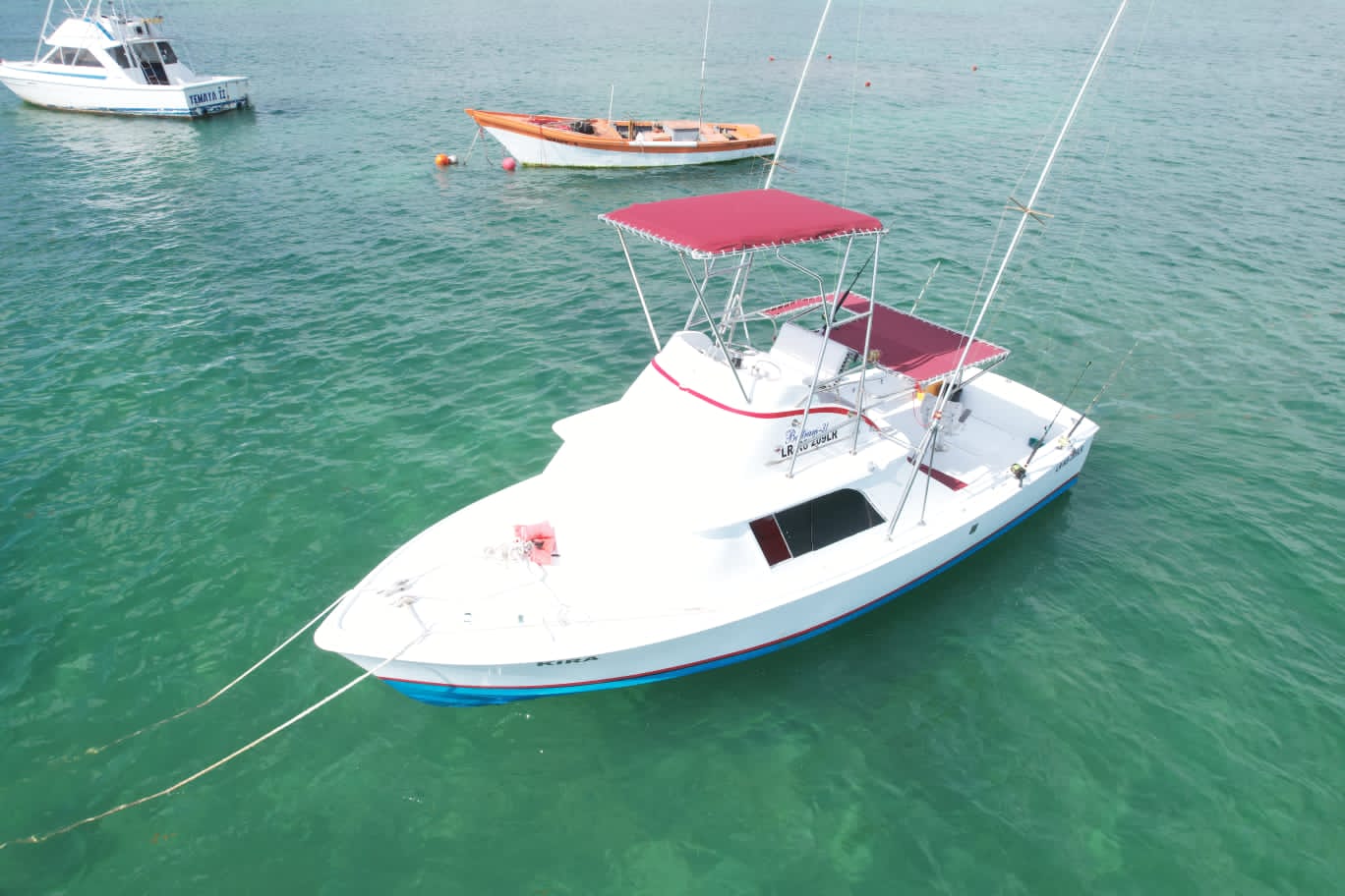 LA & DV Experts in Travel's image