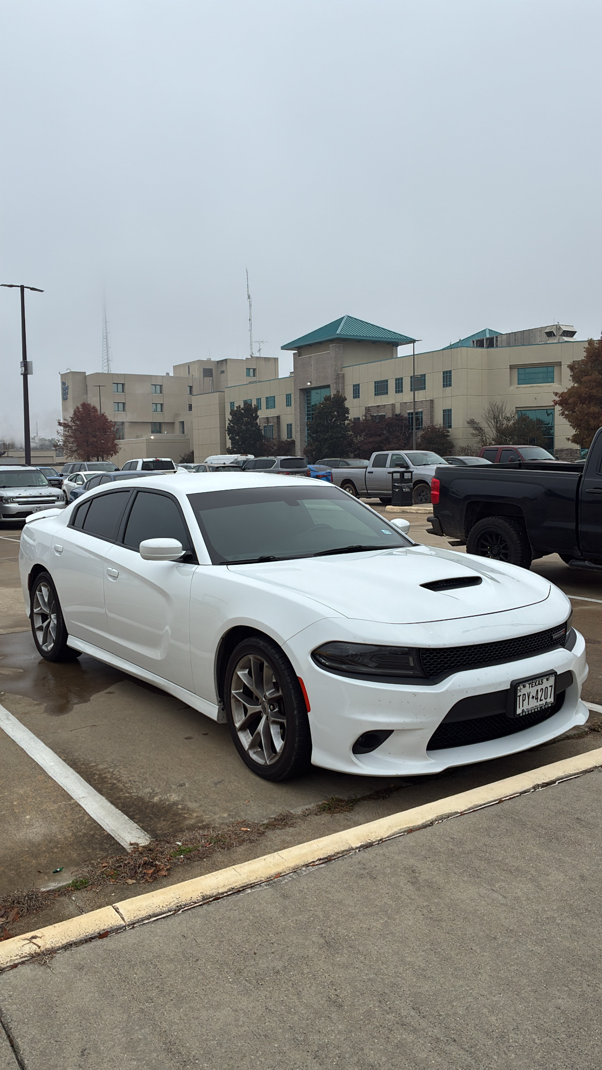 GOLDEN LEGACY 
TINT's image