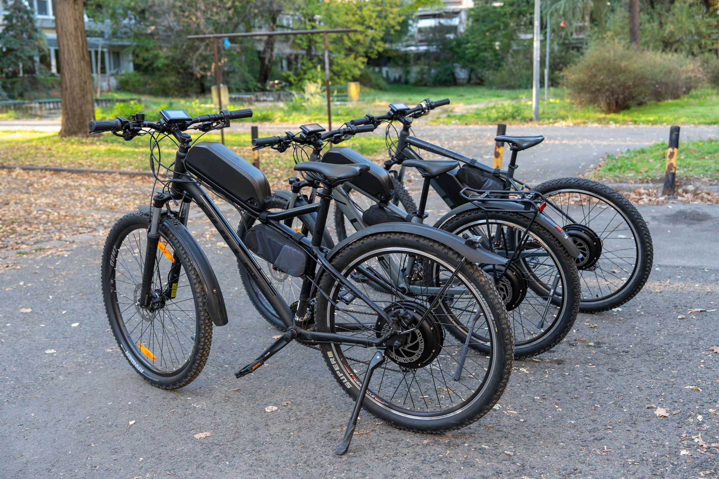 Električna Savska Vozila's image