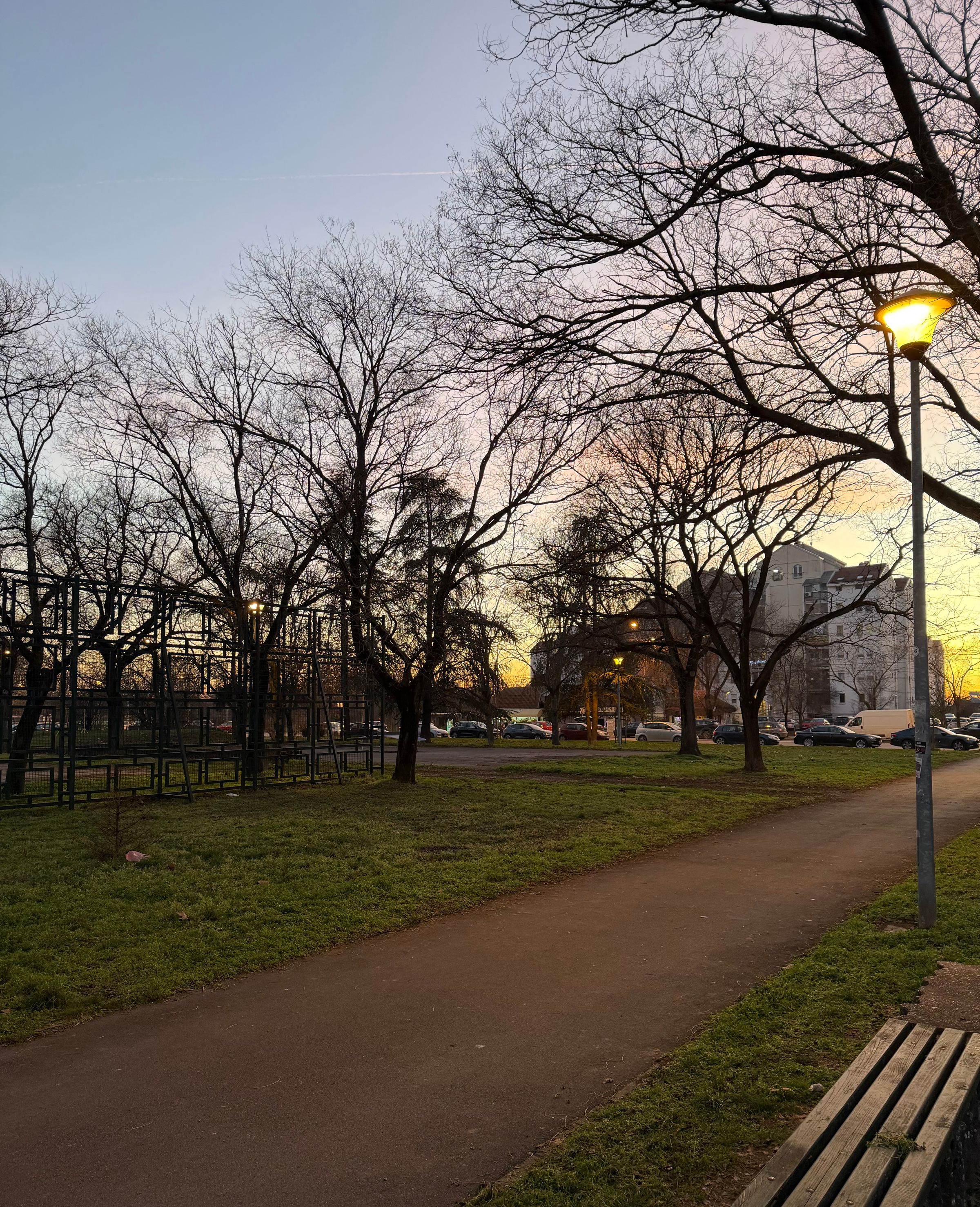 Električna Savska Vozila's image