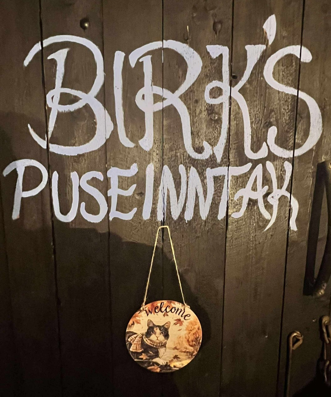 Omplasseringshjelpen for katter's image